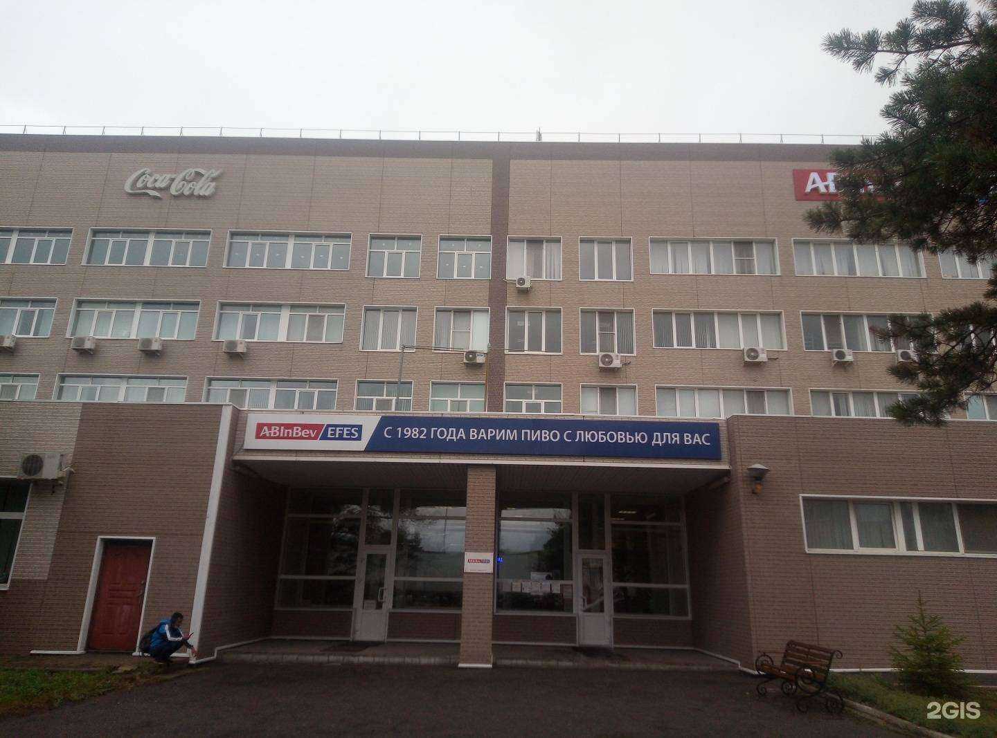 Отзывы на компанию Вива ДВ в Владивостоке c фото - фотография 2 из 2