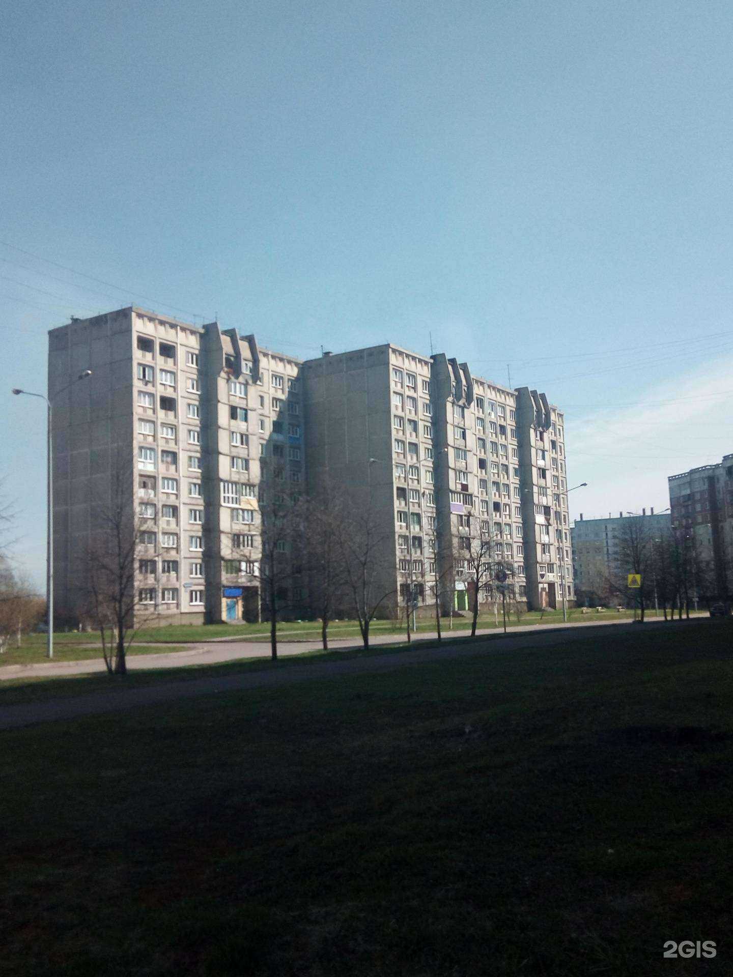 Отзывы на компанию Абсолютальфа в Новокузнецке c фото - фотография 2 из 2