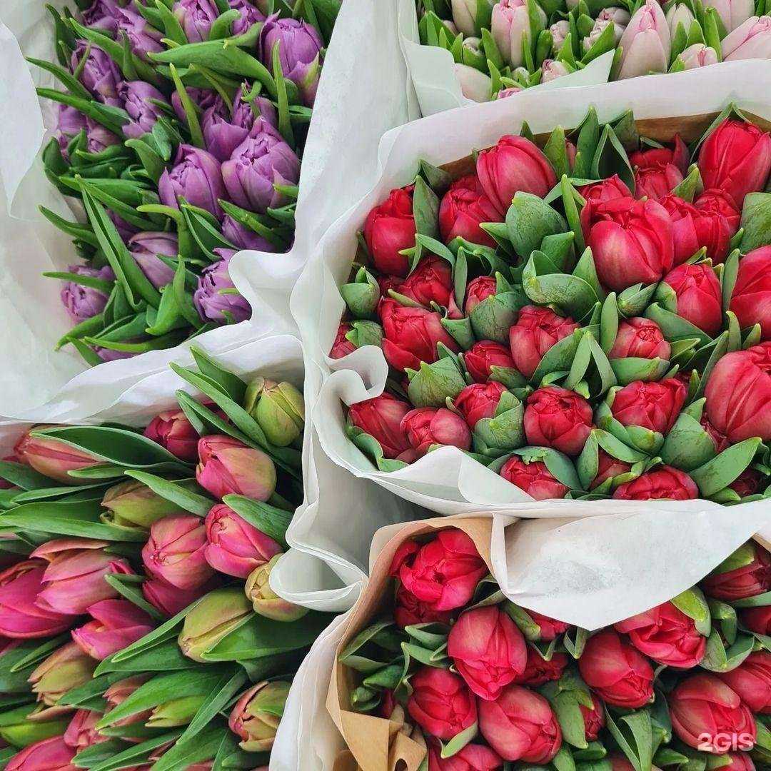 Отзывы на компанию Магазин цветов в г. Химки c фото