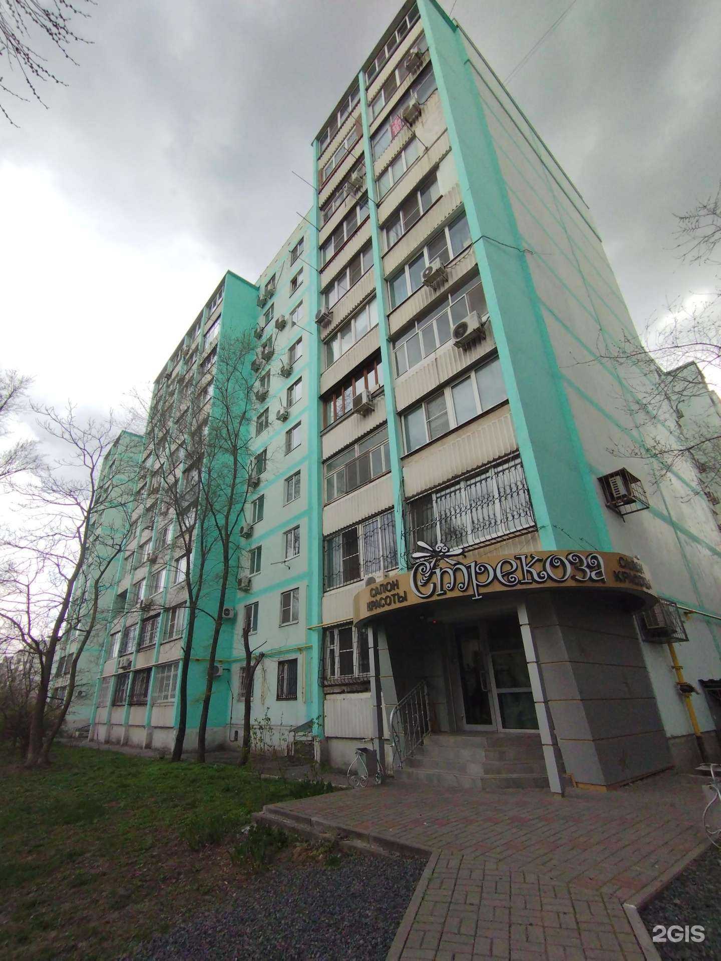 Отзывы на компанию Стрекоза в Ростове-на-Дону c фото - фотография 2 из 2