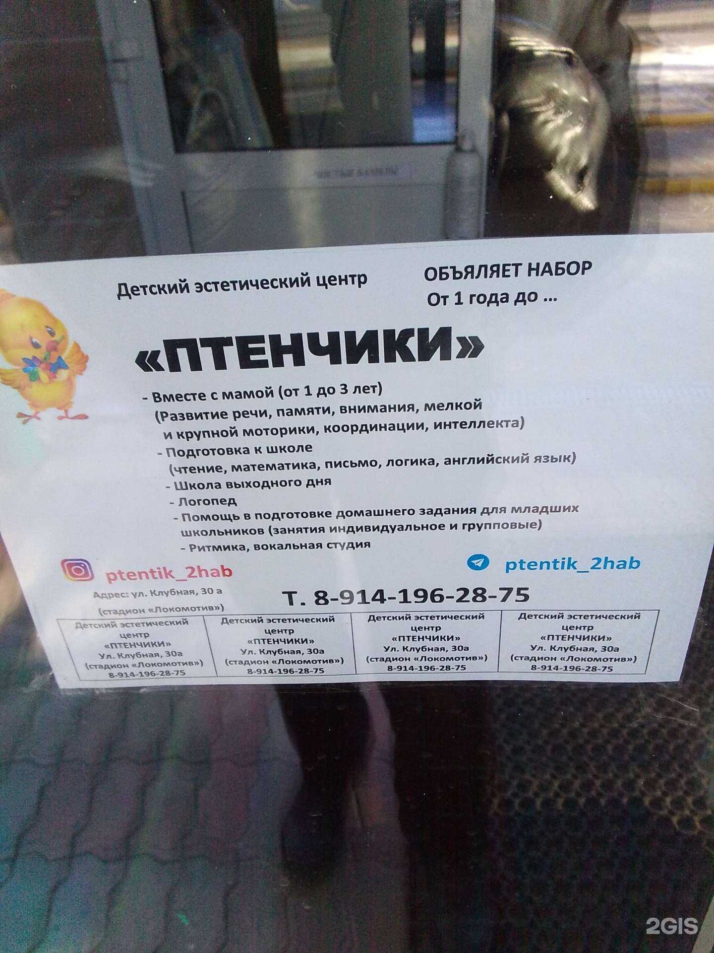 Отзывы на компанию Птенчики в г. Хабаровск c фото