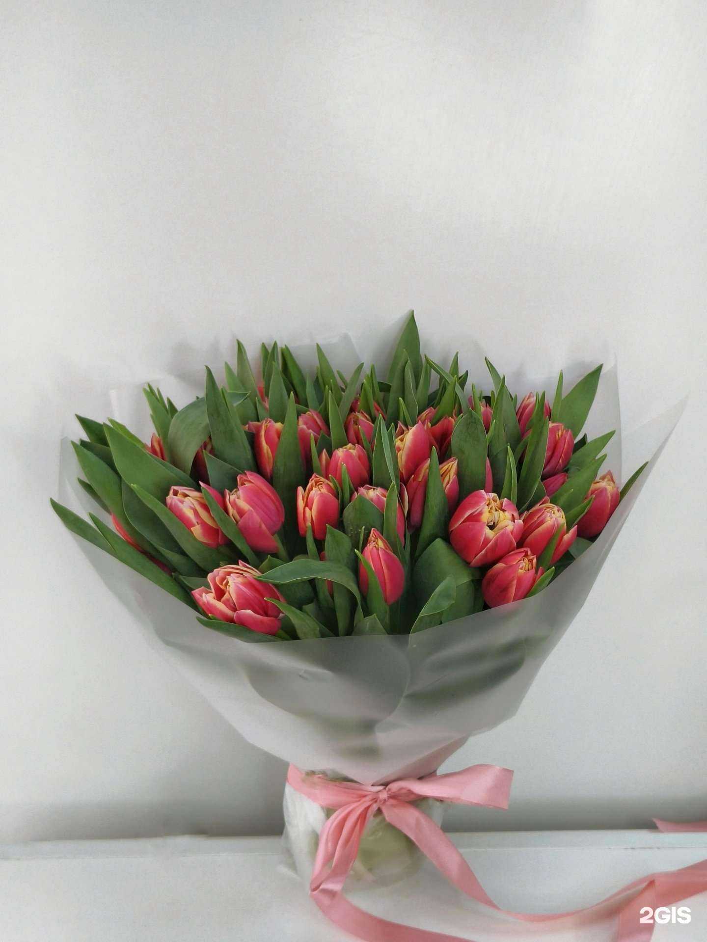 Отзывы на компанию Тимьян в Тамбове c фото