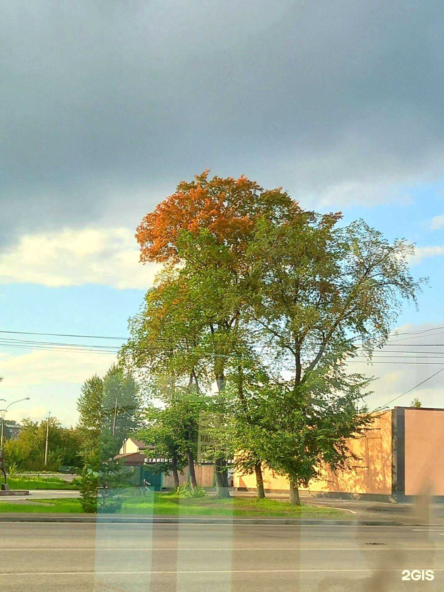 Отзывы на компанию Сибцветторг в Прокопьевске c фото - фотография 2 из 2