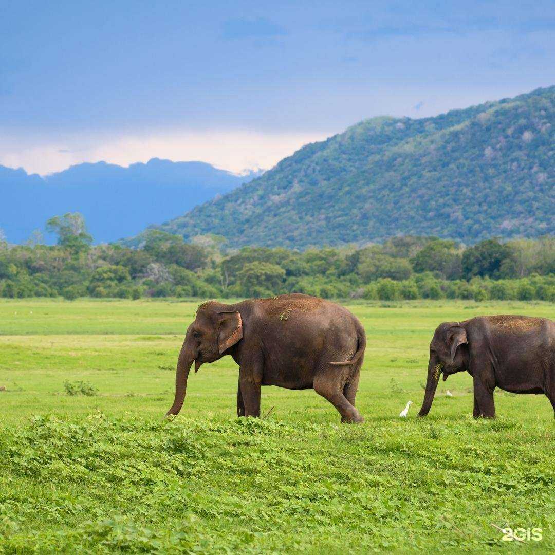 Отзывы на компанию Anex Tour, туристическое агентство в г. Анжеро-Судженск c фото