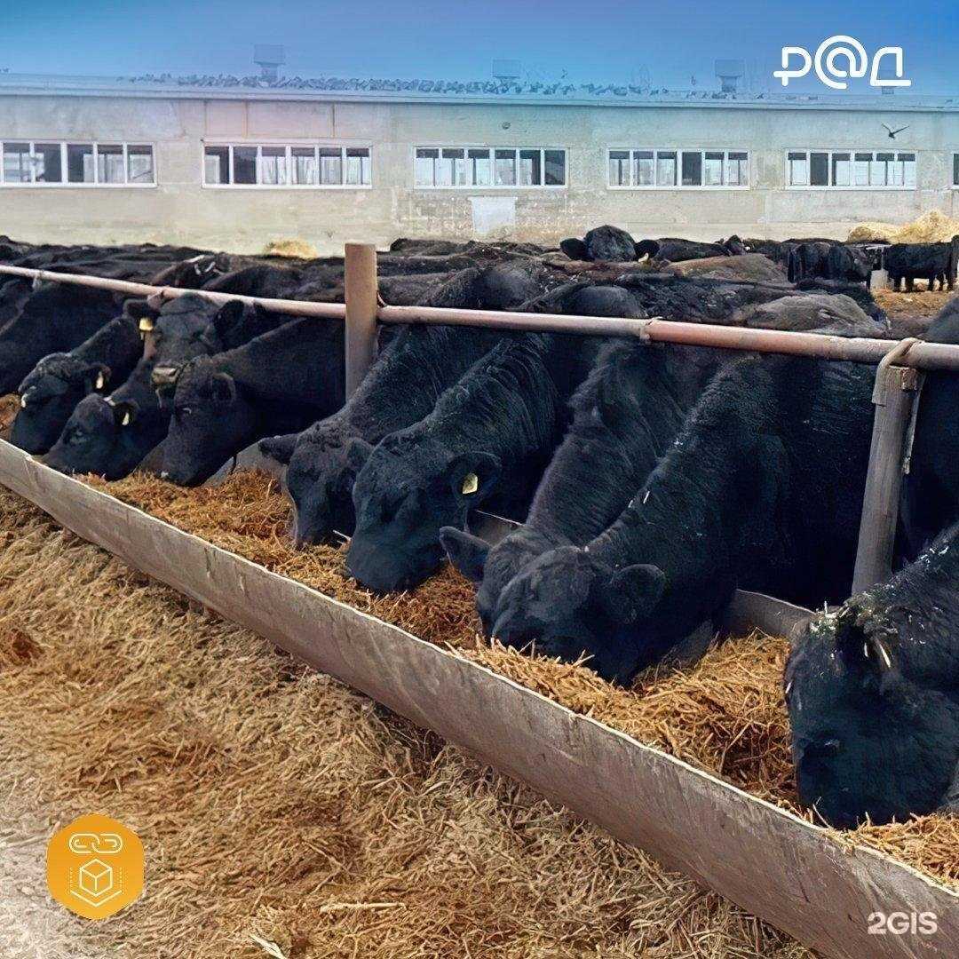 Отзывы на компанию Российский аукционный дом в Владивостоке c фото