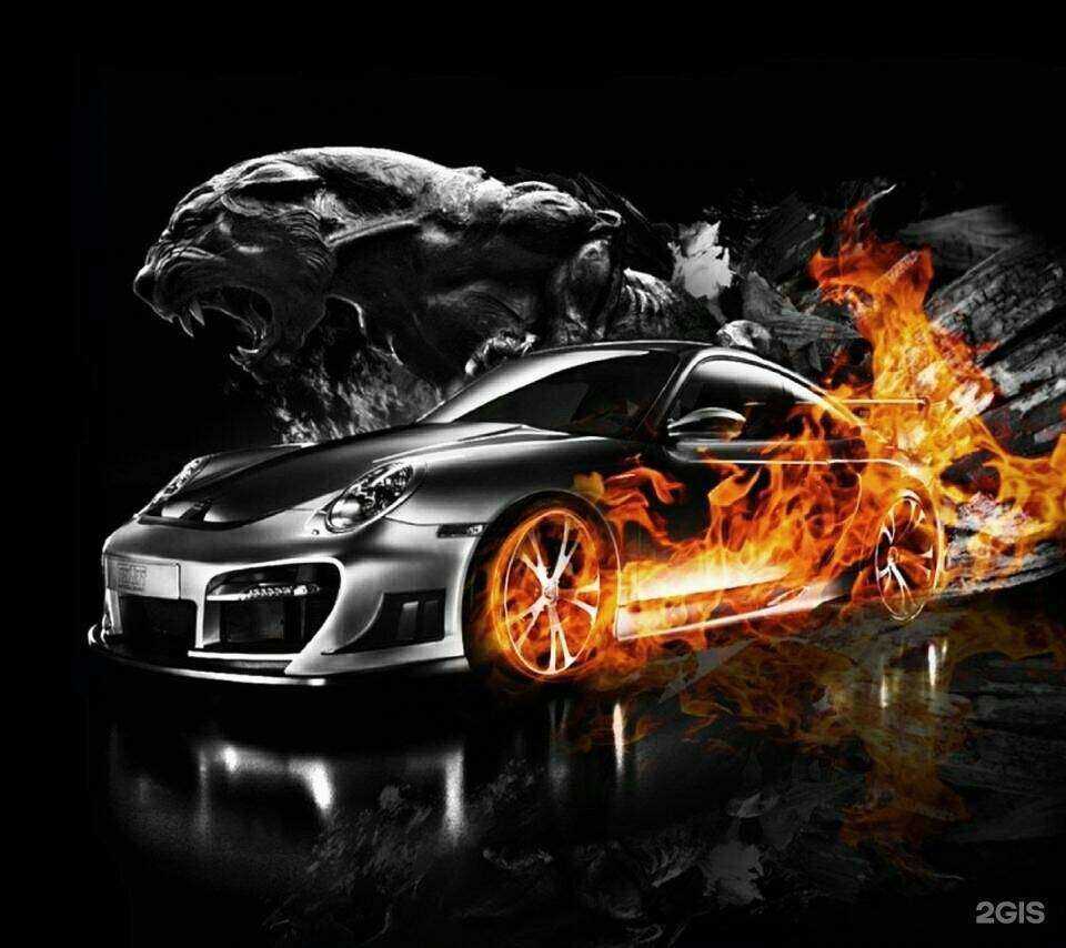 Отзывы на компанию Пушистый друг в Богородске c фото - фотография 2 из 2