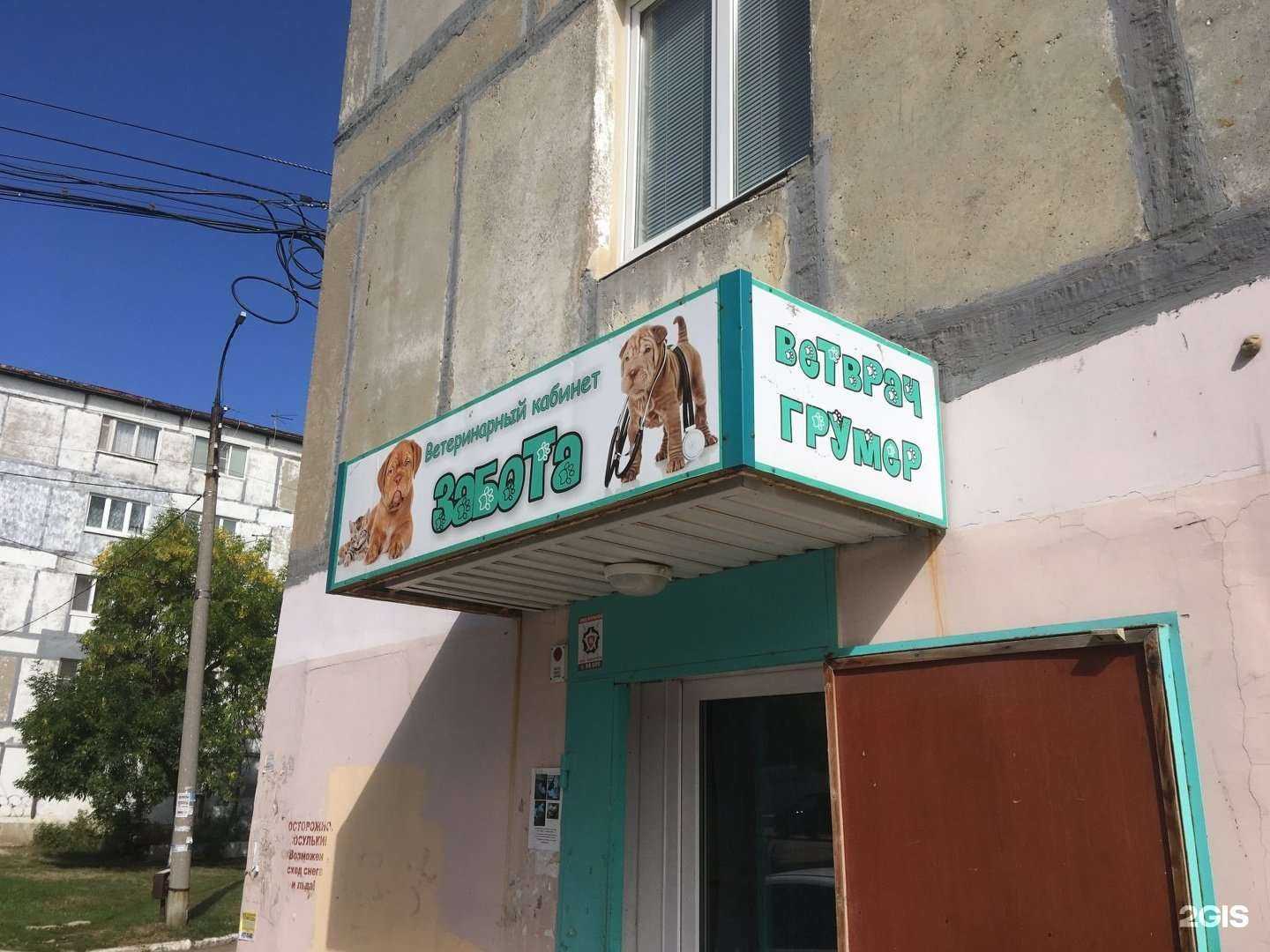 Отзывы на компанию Забота в г. Новокуйбышевск c фото