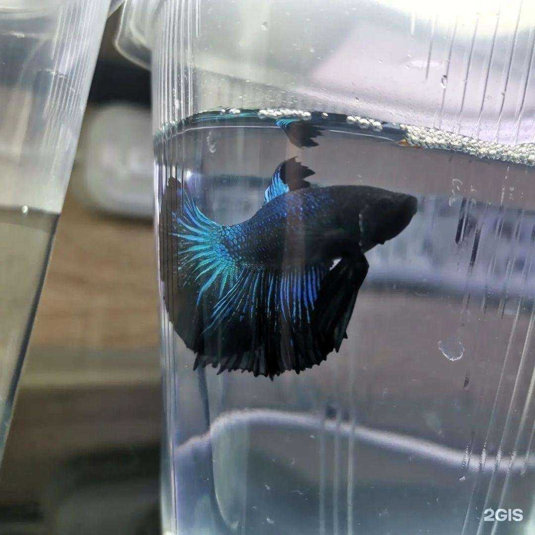 Отзывы на компанию Природа в г. Новокубанск c фото