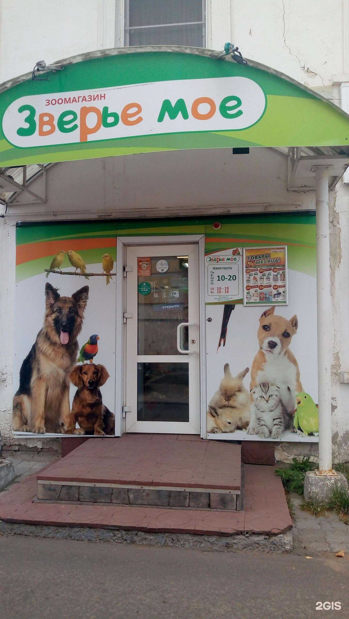 Отзывы на компанию Зверье Мое в г. Сыктывкар c фото