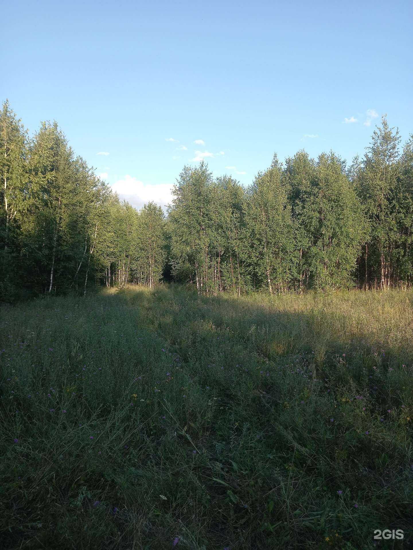 Отзывы на компанию contras_ в Казани c фото - фотография 2 из 2