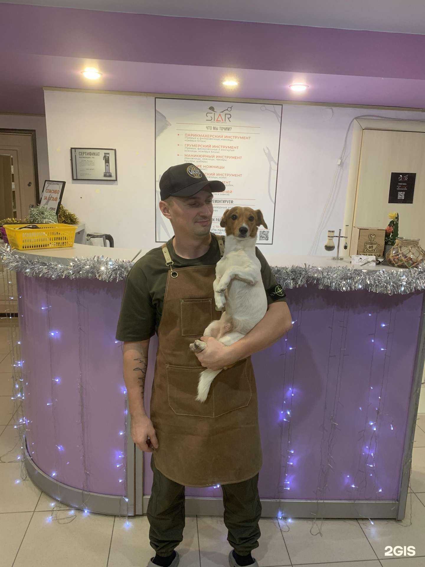 Отзывы на компанию Siar_Zatochka в г. Краснодар c фото