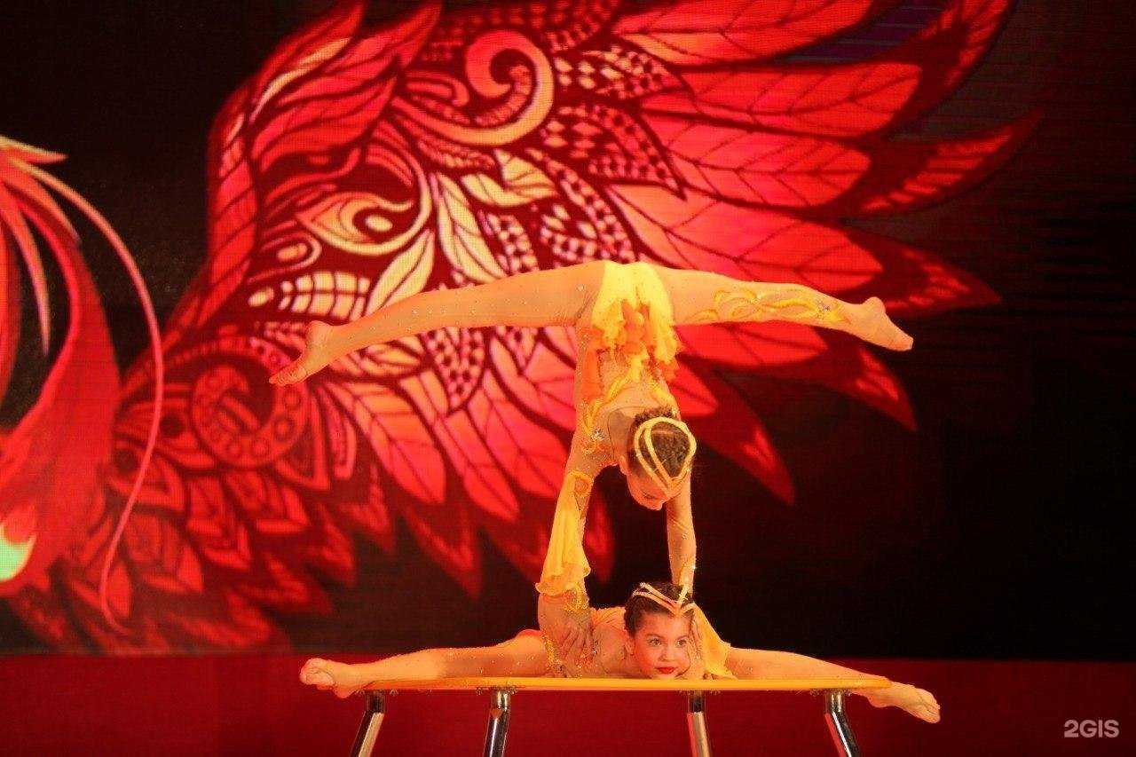 Отзывы на компанию Центр циркового искусства в г. Петропавловск-Камчатский c фото