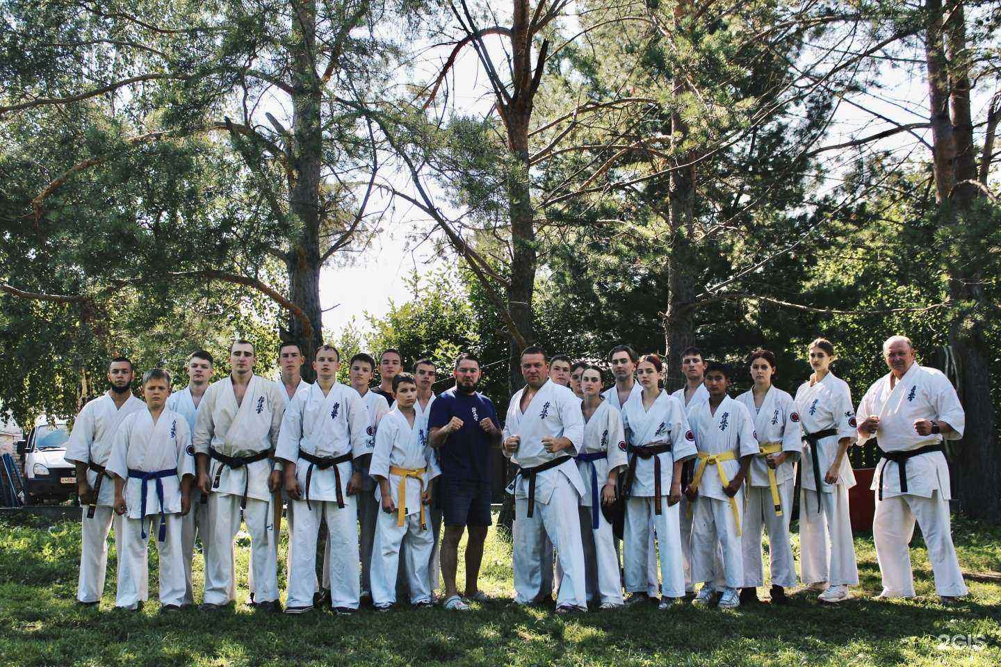 Отзывы на компанию Ippon в г. Красноярск c фото