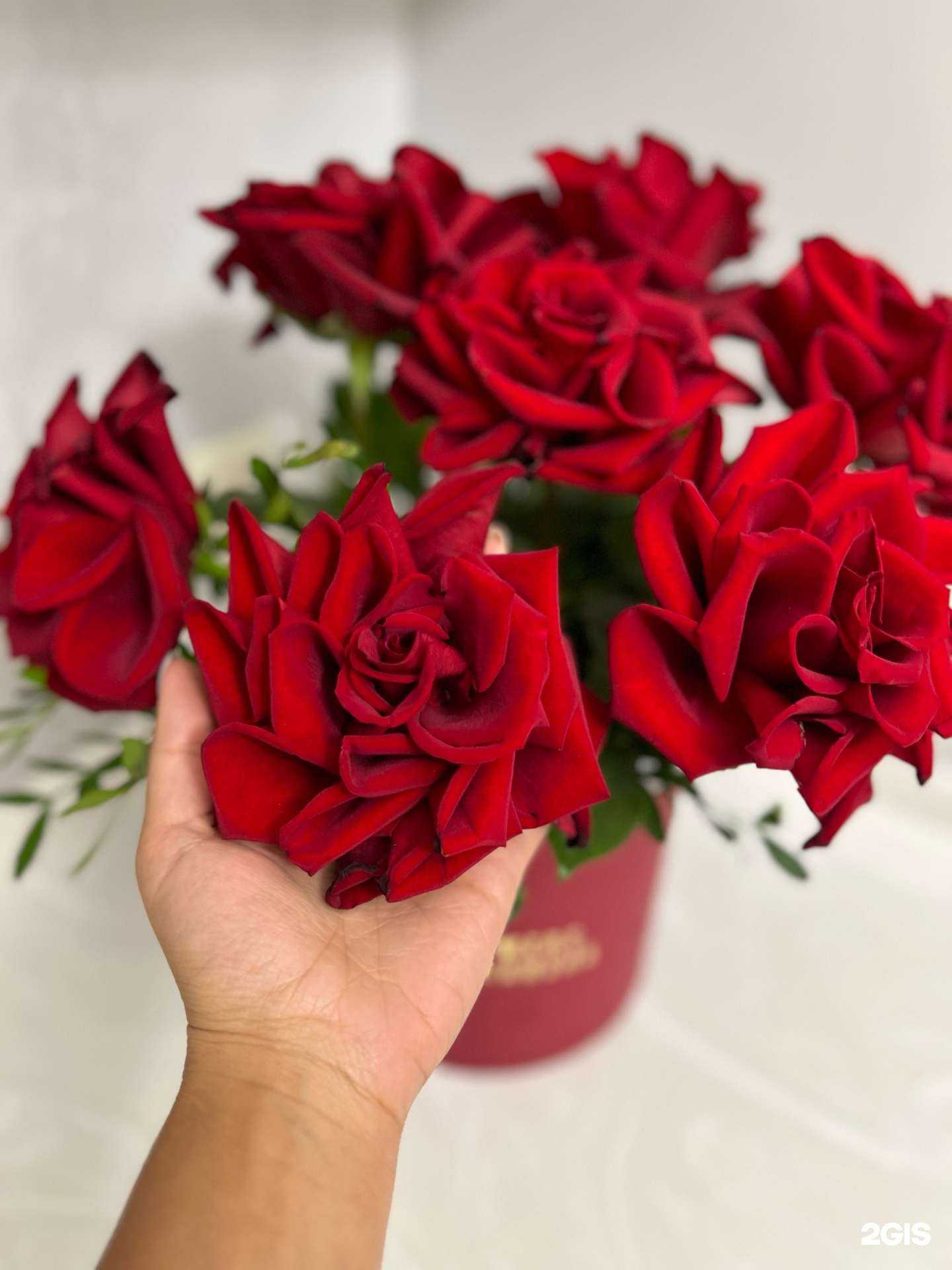 Отзывы на компанию Flower manarsha в г. Каспийск c фото