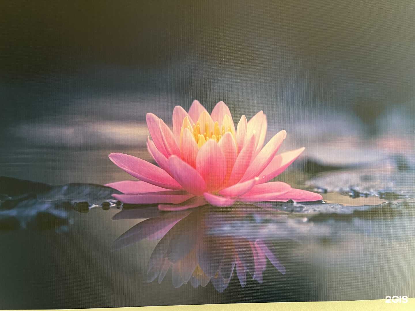 Отзывы на компанию Лотос в Чите c фото