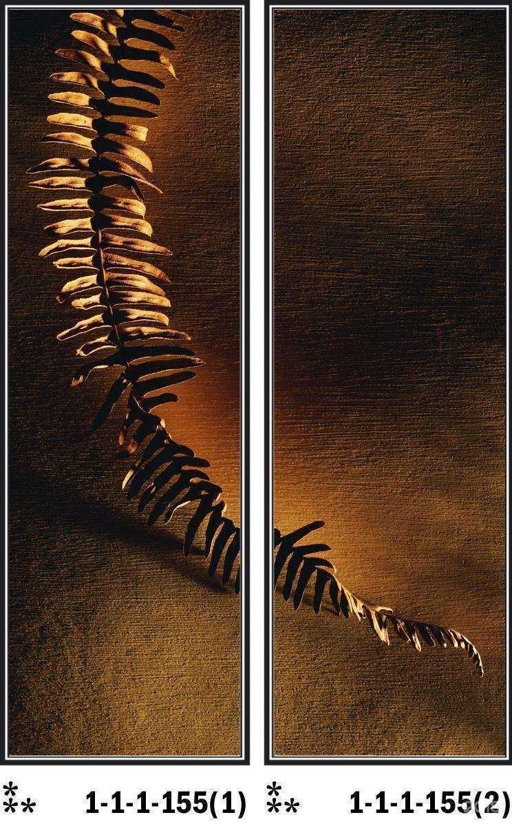 Отзывы на компанию Мебельная фирма в г. Владивосток c фото