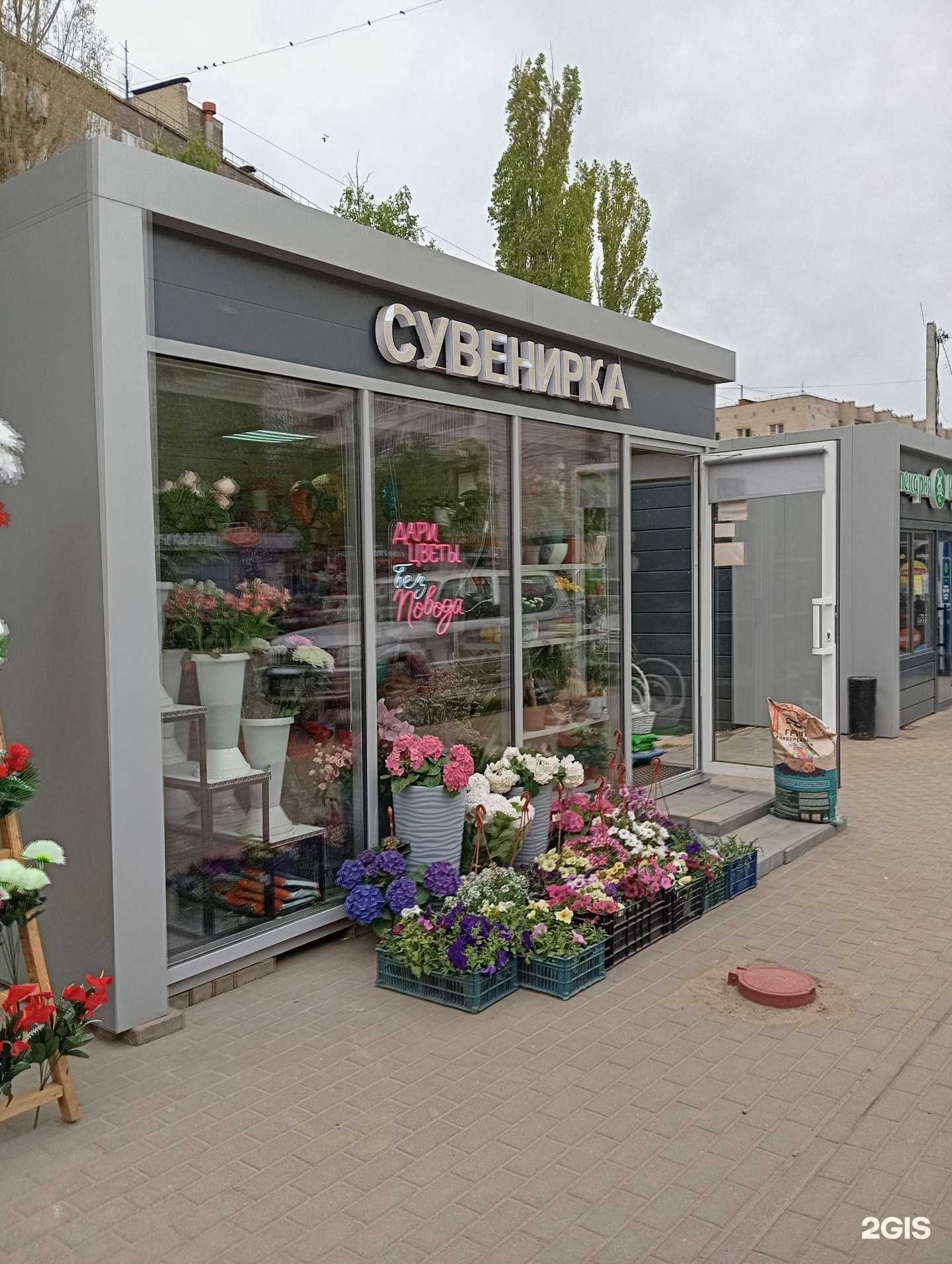 Отзывы на компанию Монстера  в г. Воронеж c фото