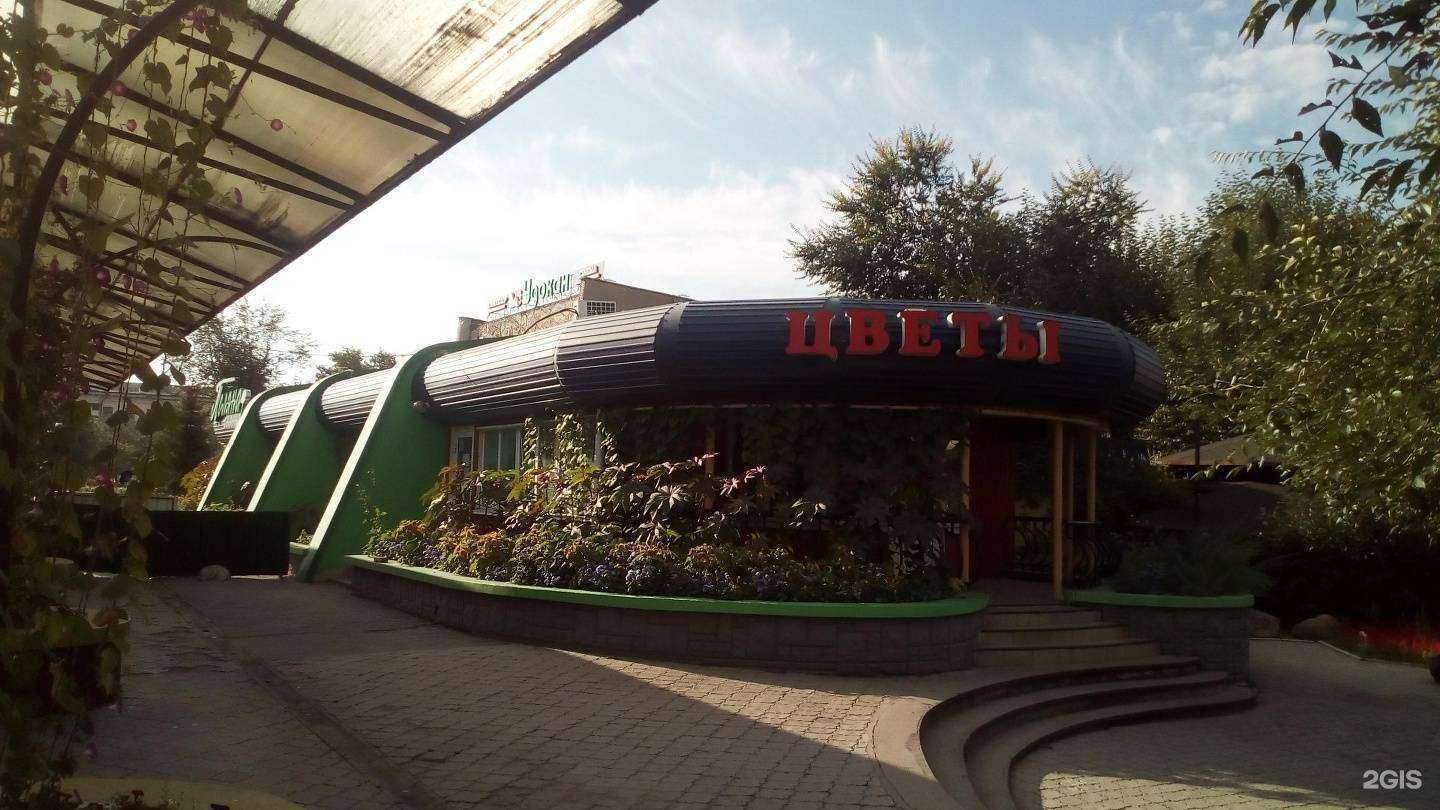 Отзывы на компанию Q store в Чите c фото