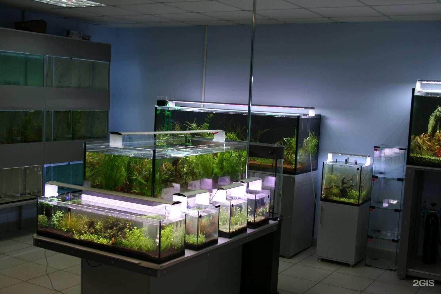 Отзывы на компанию Аквамарин в Кстове c фото