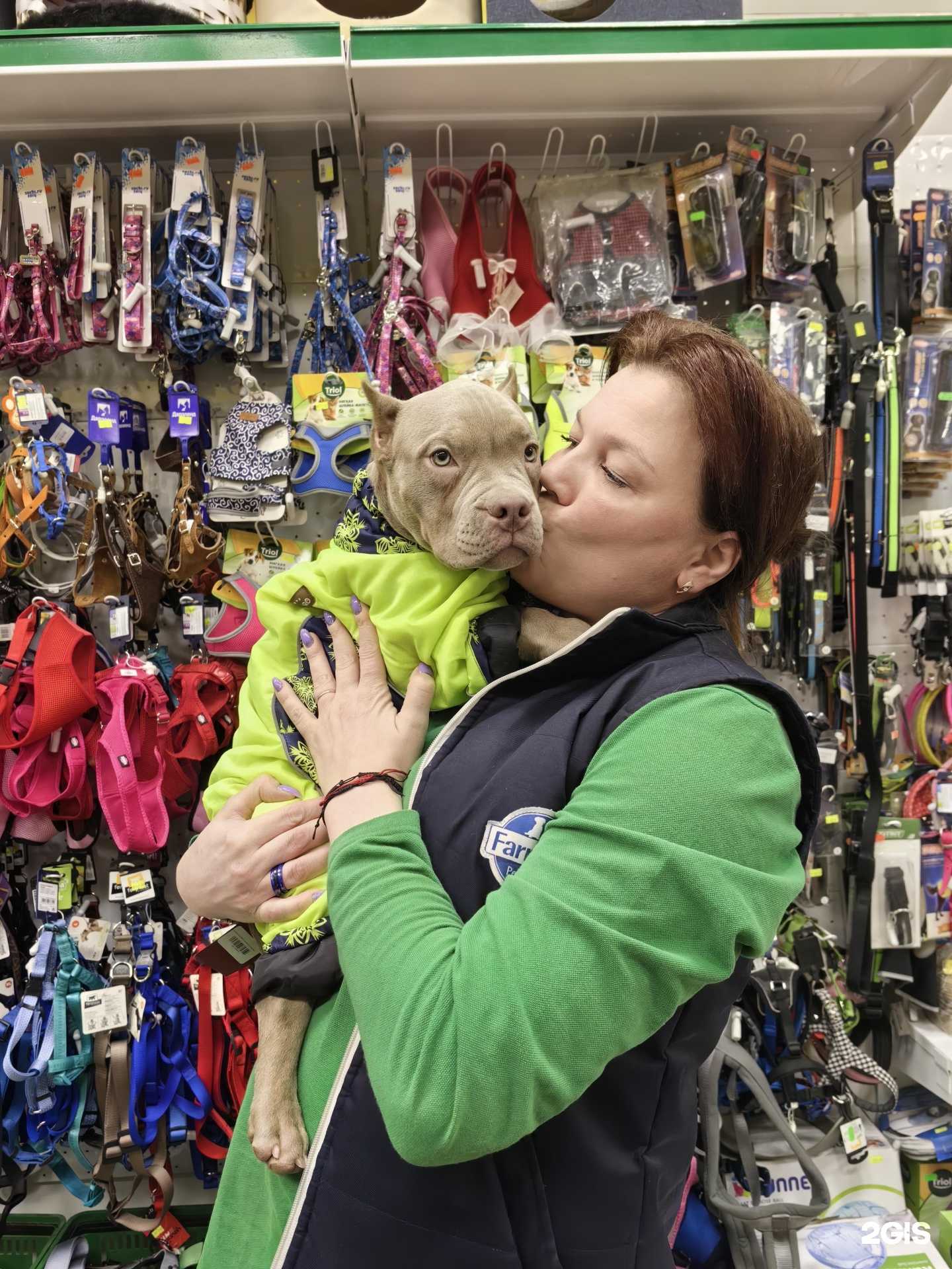 Отзывы на компанию Зооландия в г. Мурманск c фото