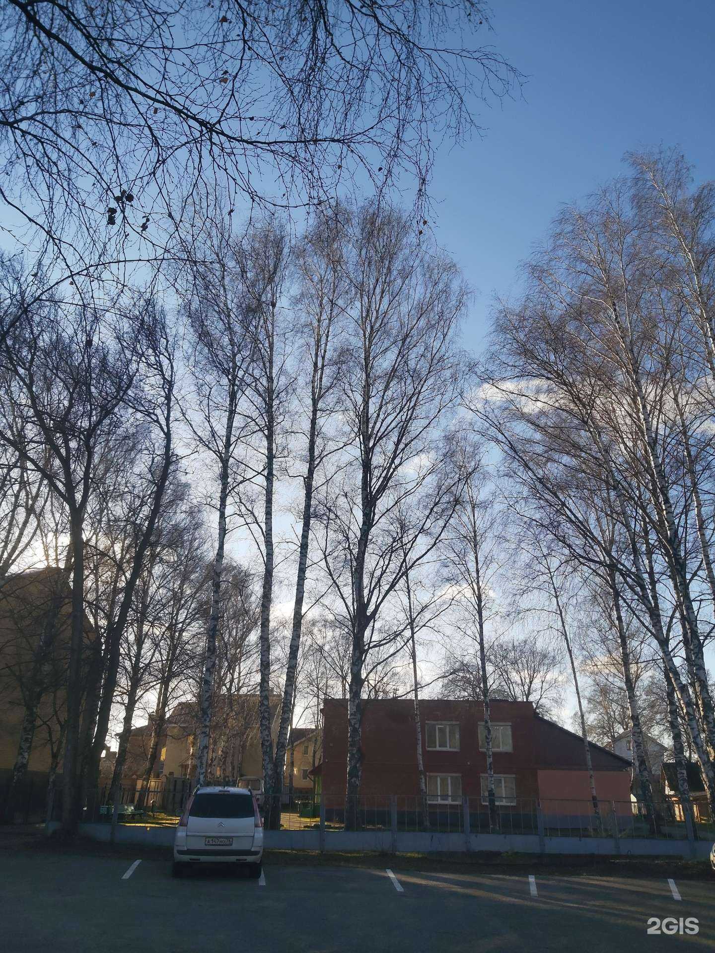 Отзывы на компанию Центр детского и юношеского туризма и экскурсий в Ярославле c фото - фотография 2 из 2