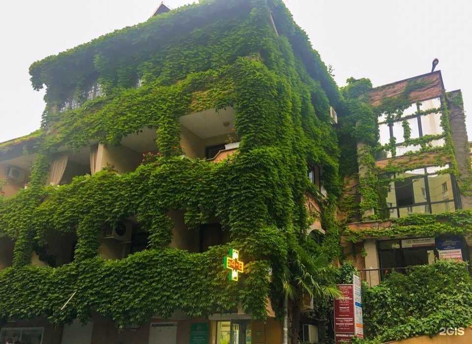 Отзывы на компанию Студия косметологии и массажа в Сочи c фото