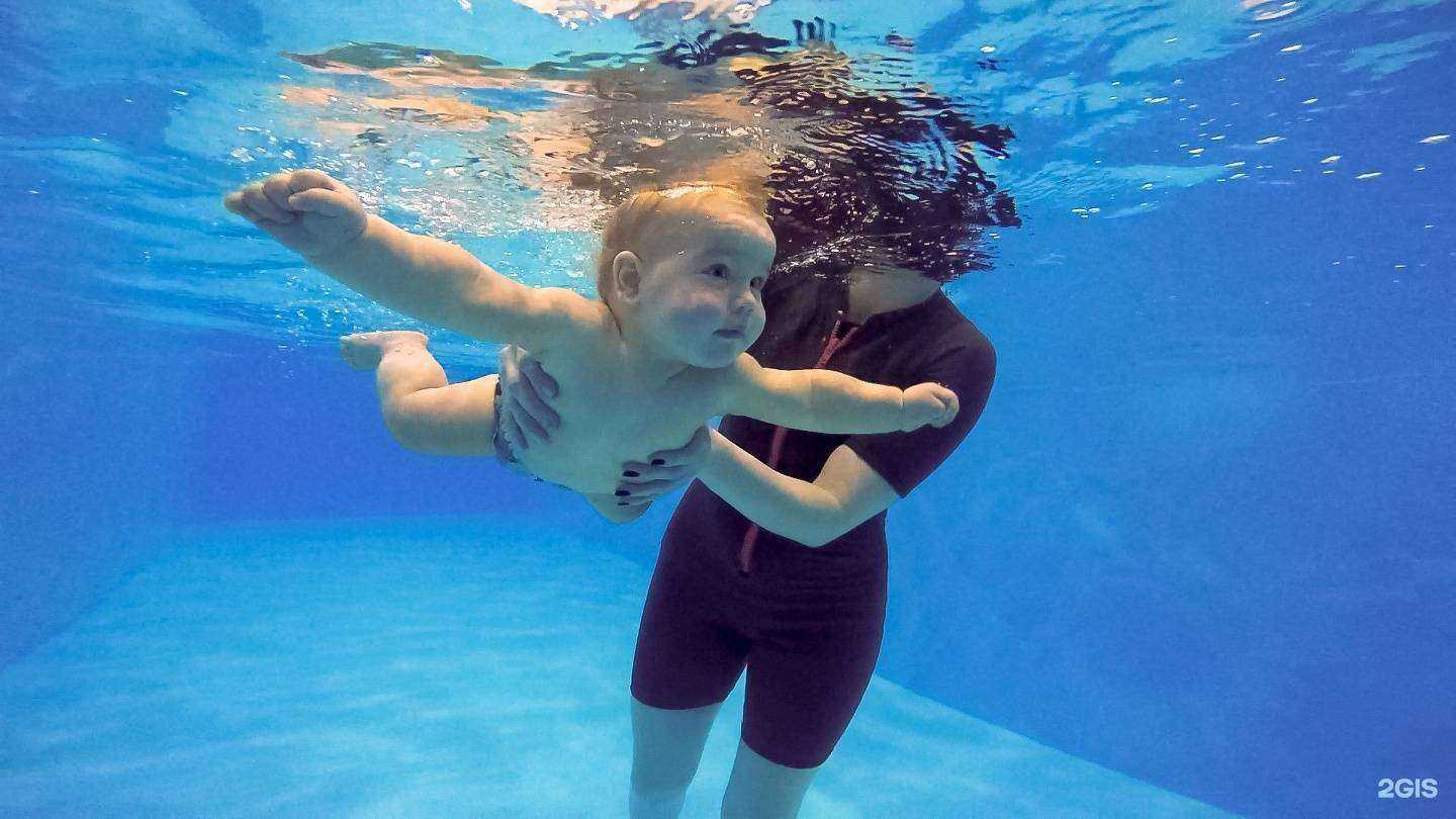 Отзывы на компанию Флиппер в Ставрополе c фото