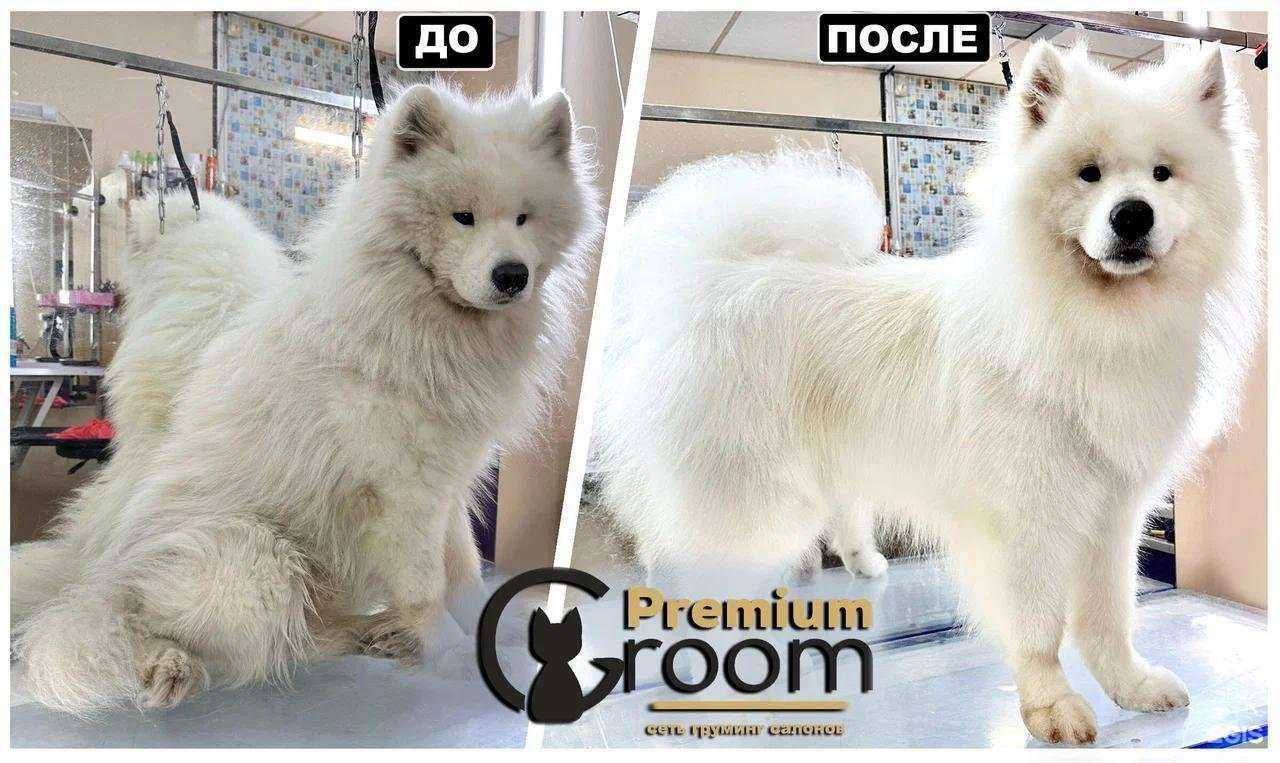 Отзывы на компанию Premium Groom в г. Владивосток c фото