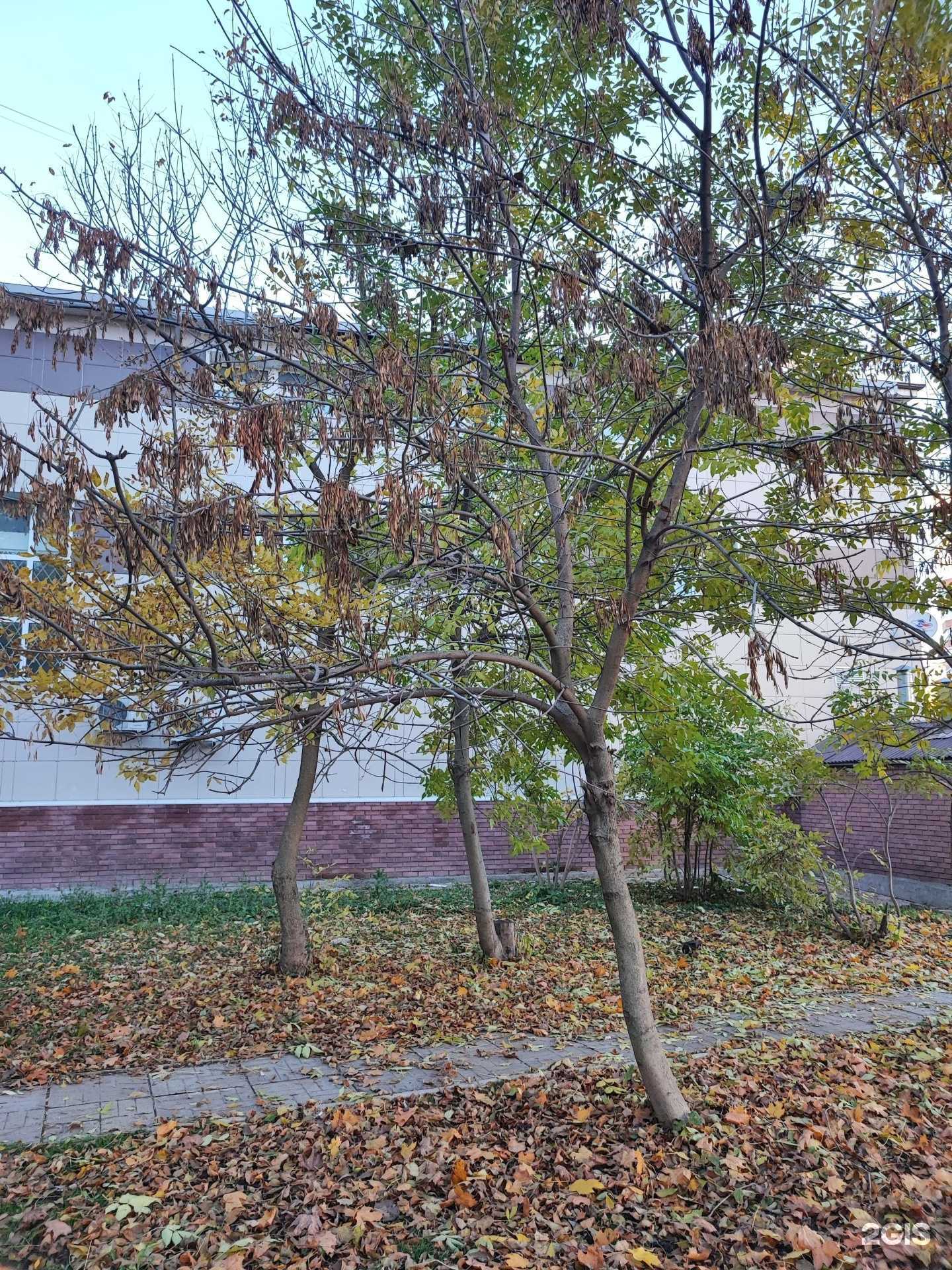 Отзывы на компанию Велл в Наро-Фоминске c фото - фотография 2 из 2