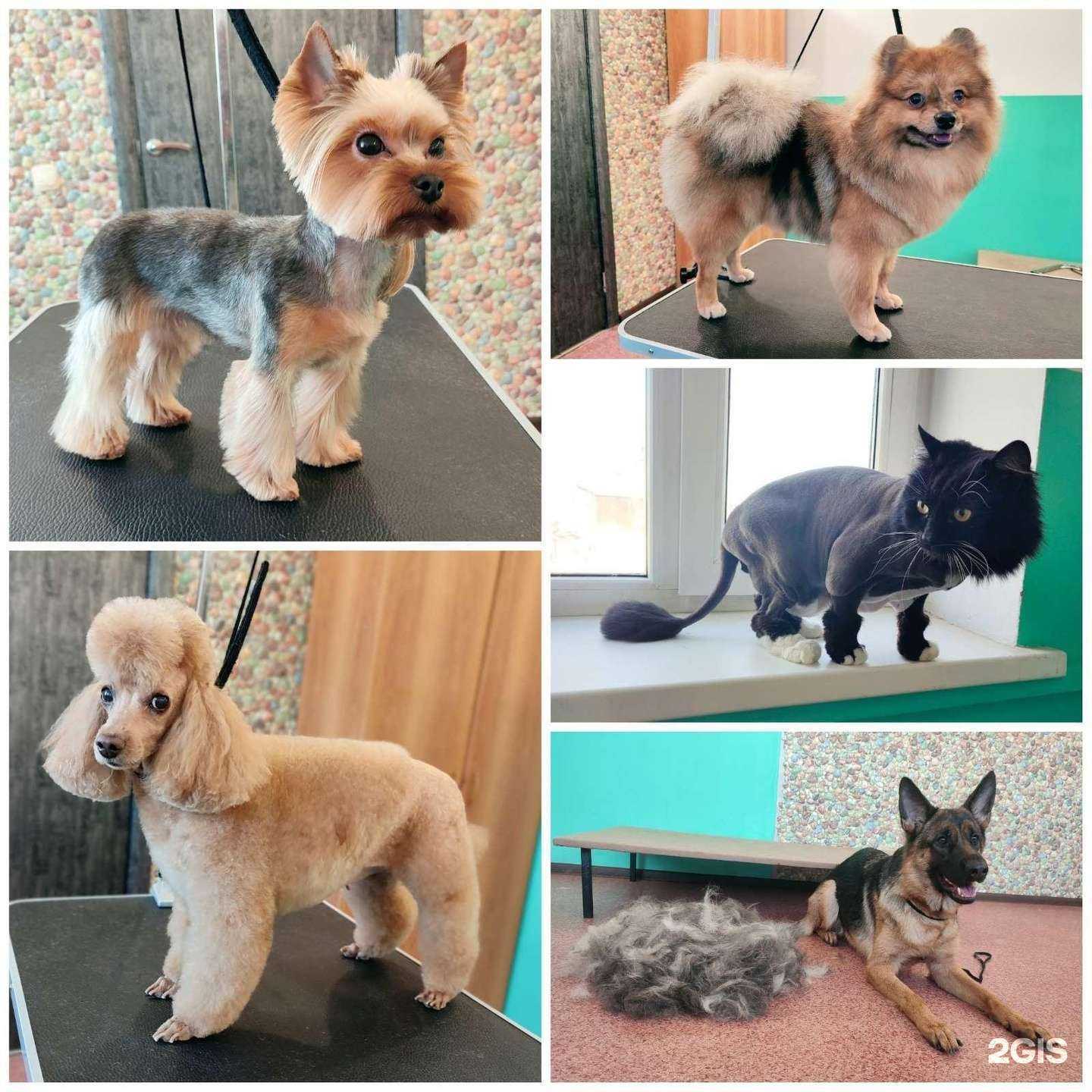 Отзывы на компанию BarbieGroom в Челябинске c фото