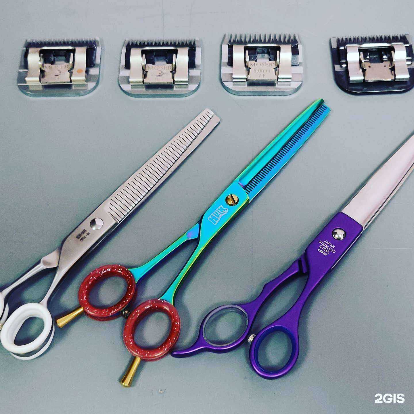 Отзывы на компанию Геометрия в г. Кемерово c фото