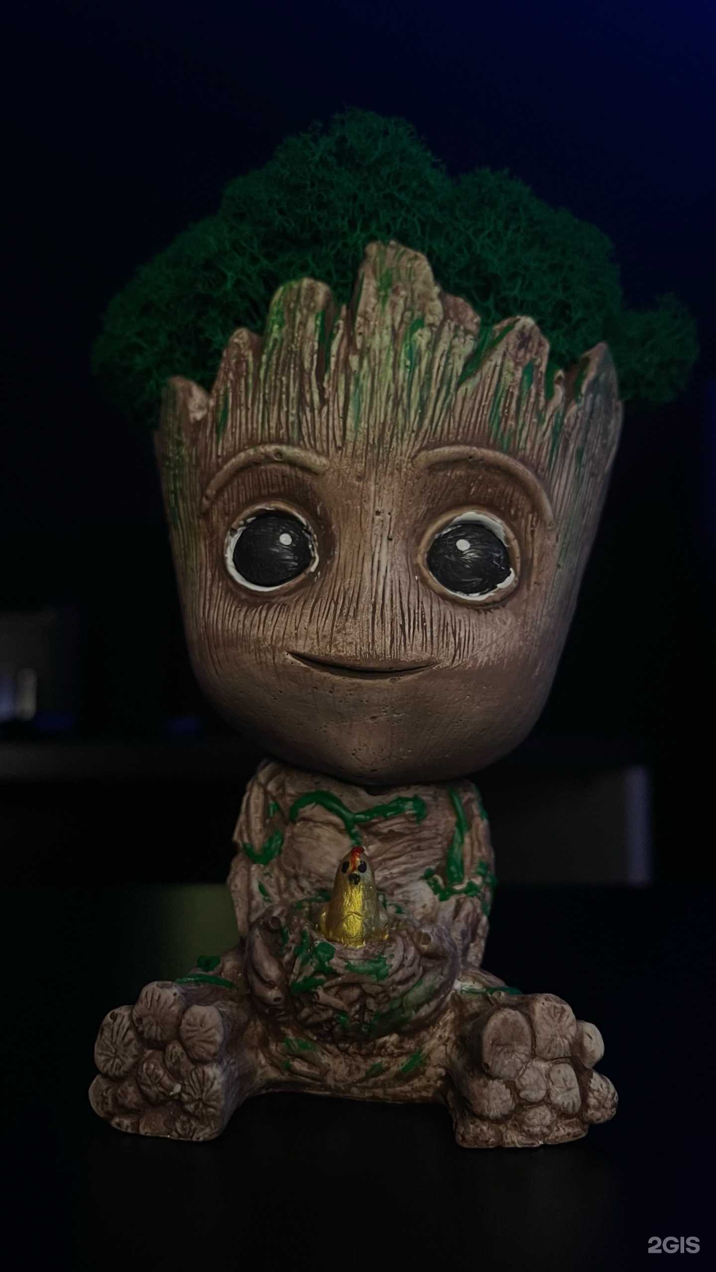 Отзывы на компанию Kaiju в Находке c фото