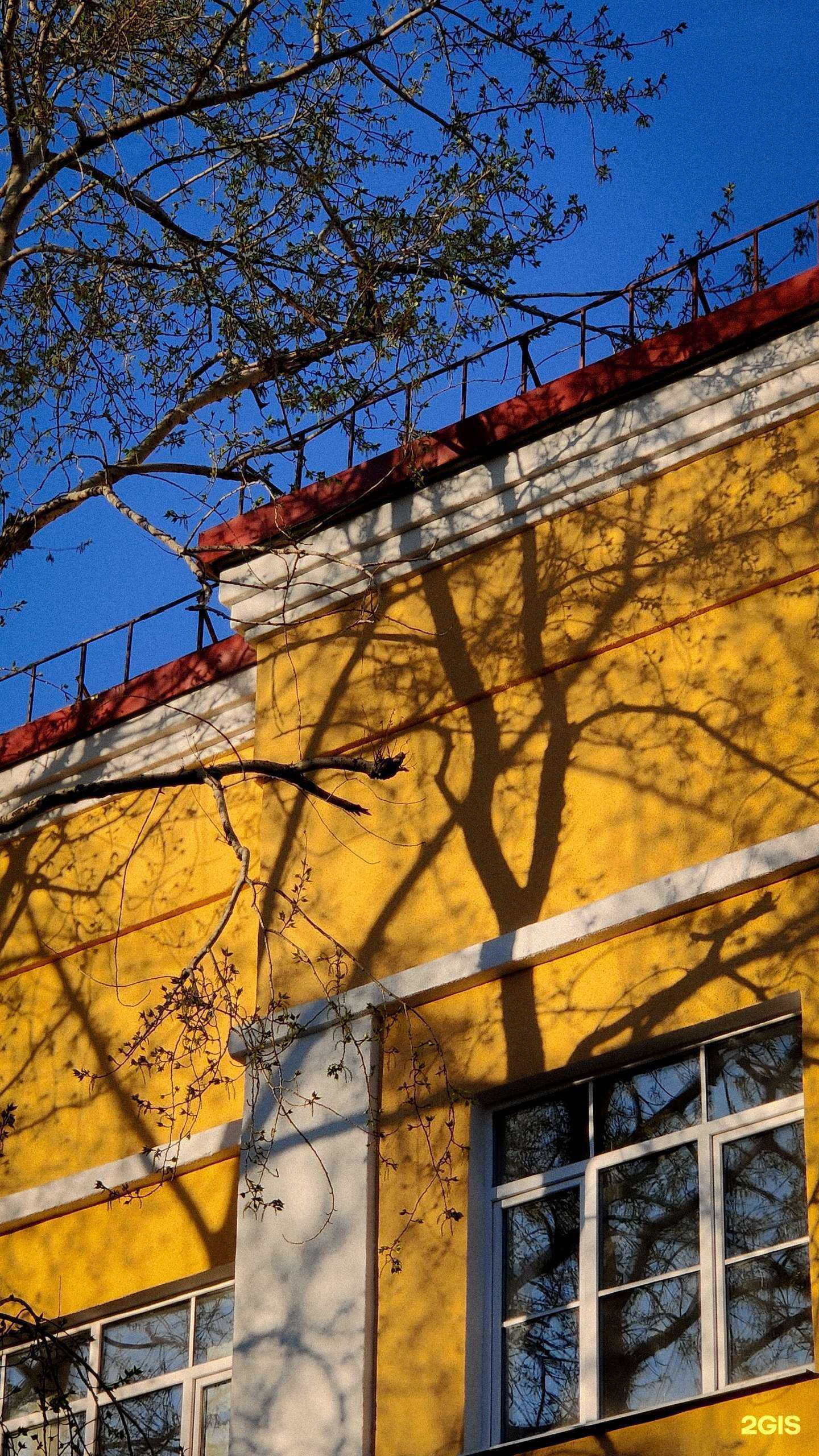 Отзывы на компанию Гимназия №2 в Мурманске c фото