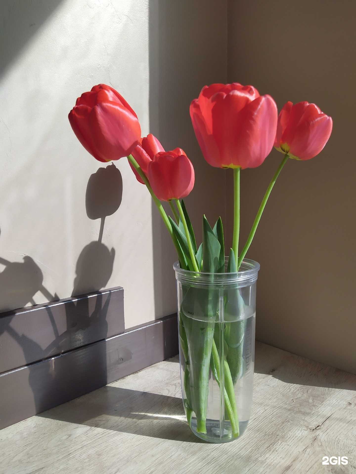 Отзывы на компанию Безума в Екатеринбурге c фото