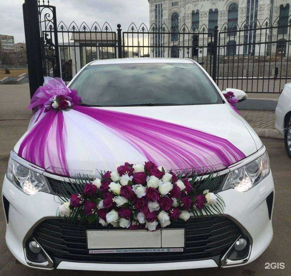 Отзывы на компанию Mice transfer в г. Самара c фото