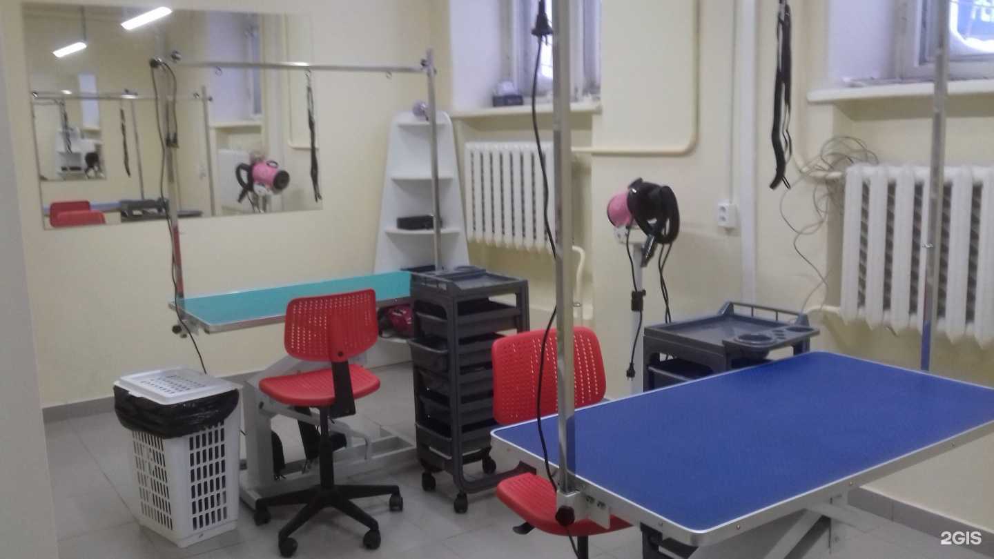 Отзывы на компанию Центр груминга в г. Уфа c фото