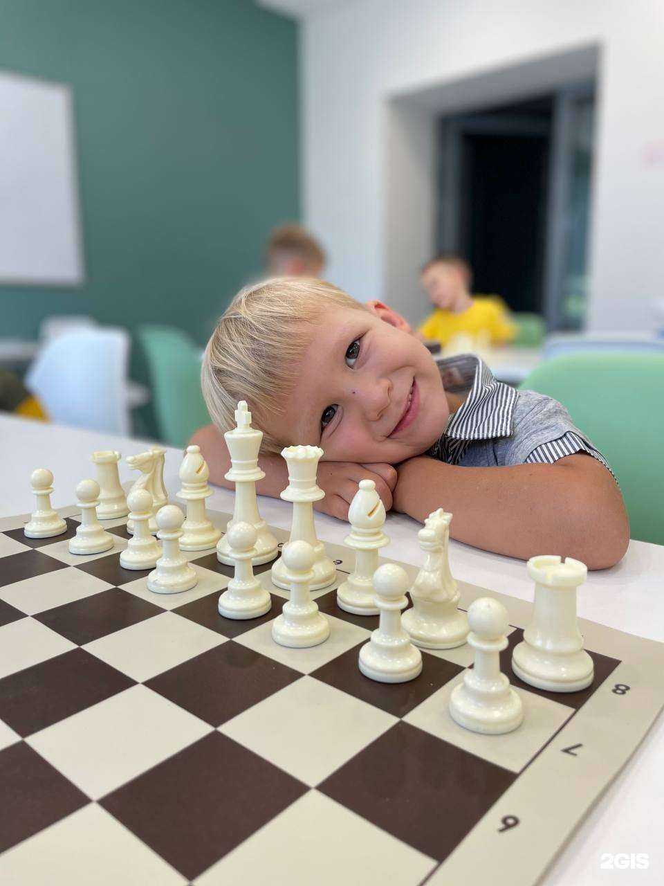 Отзывы на компанию Skolio в Казани c фото