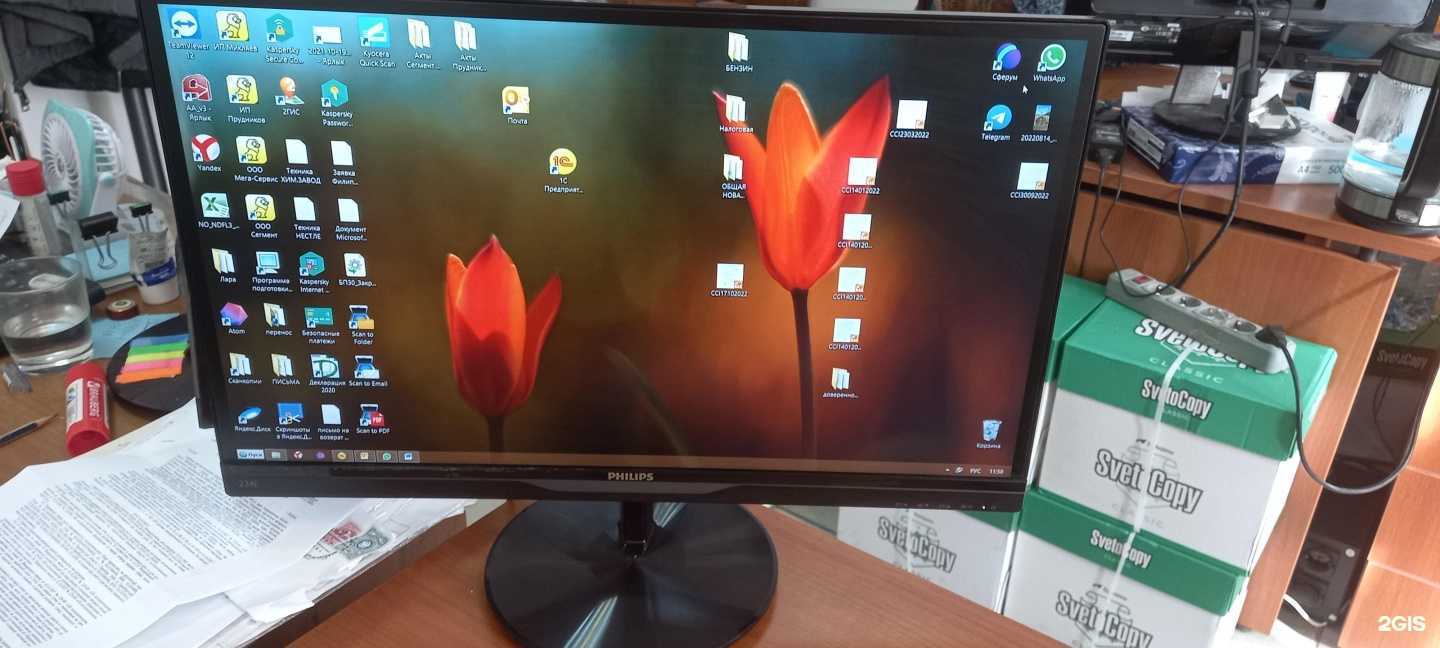 Отзывы на компанию Живой компьютер в г. Краснодар c фото