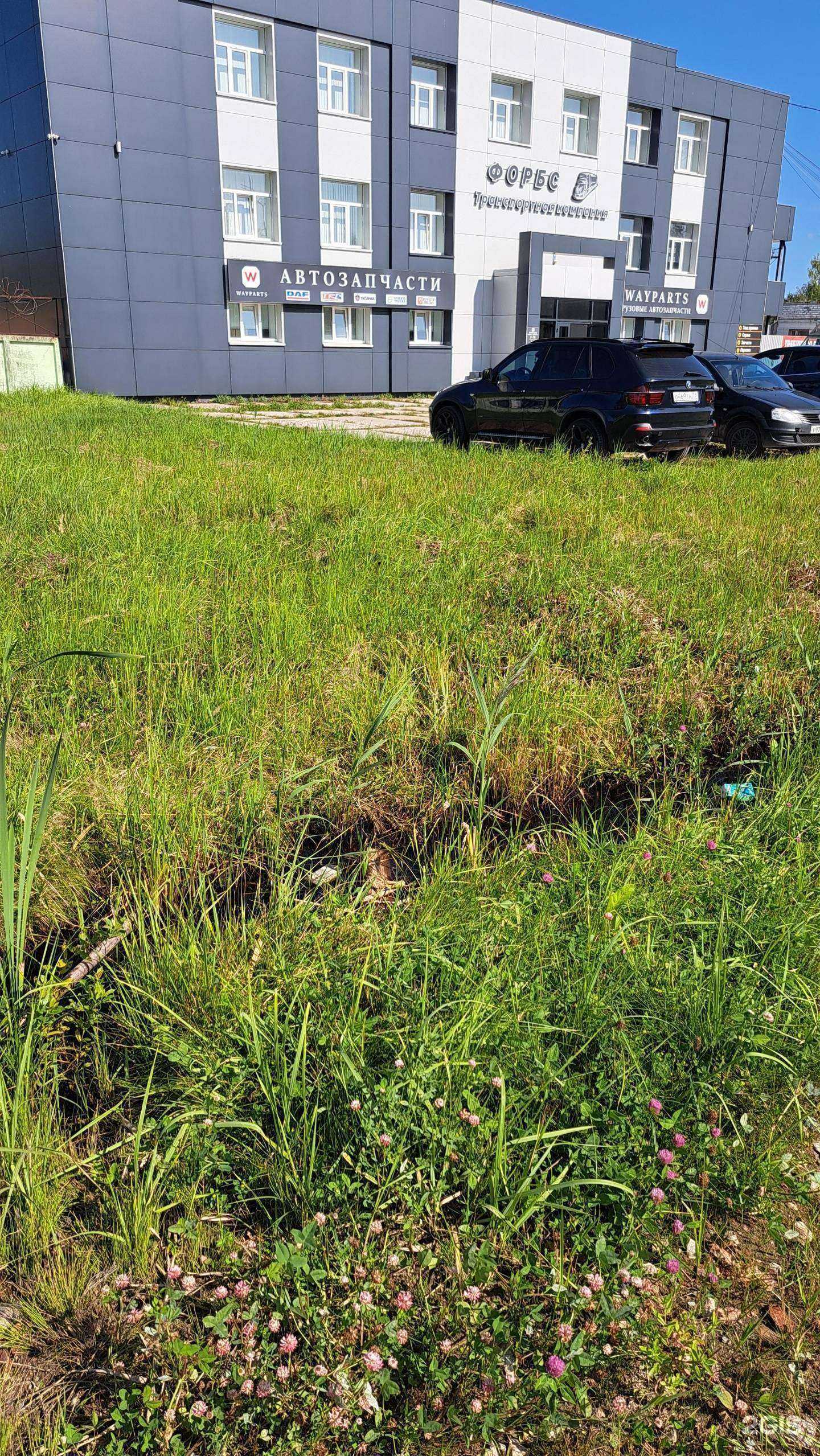 Отзывы на компанию Форбс в г. Ярославль c фото