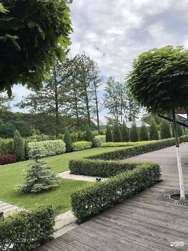 Отзывы на компанию Вишневый сад Элит в Воронеже c фото