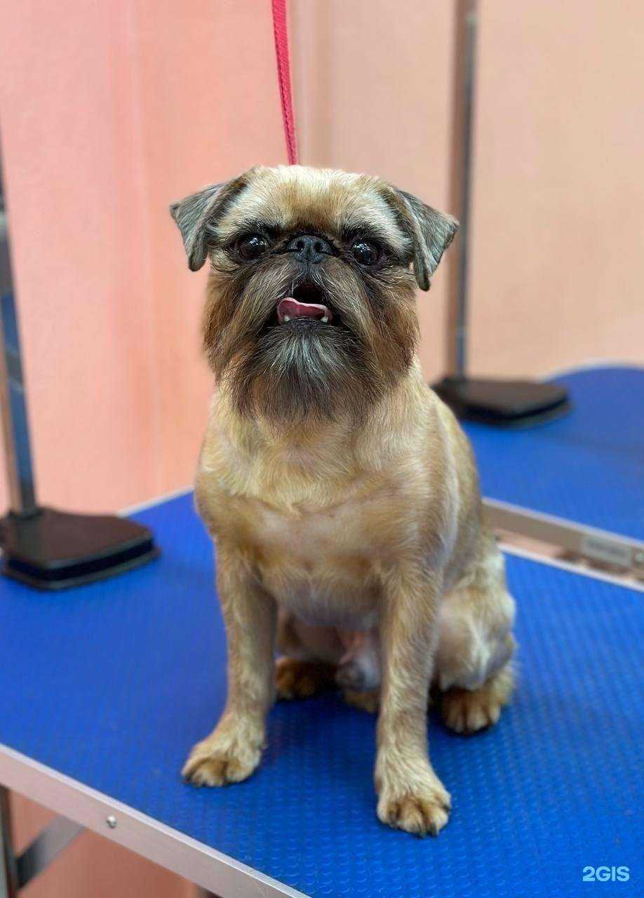 Отзывы на компанию Чуб-чик в г. Новосибирск c фото