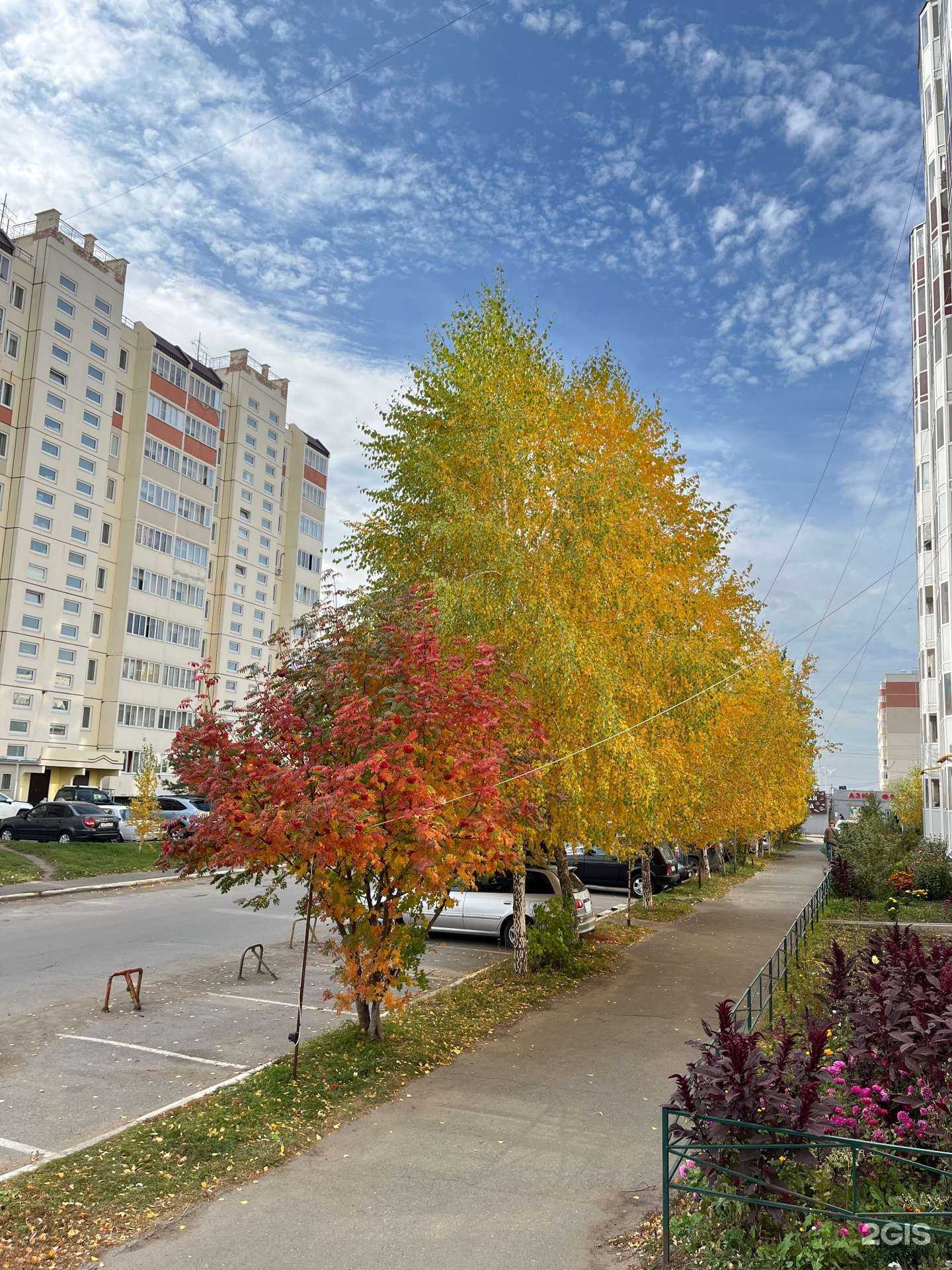 Отзывы на компанию Для вас в Омске c фото - фотография 2 из 2