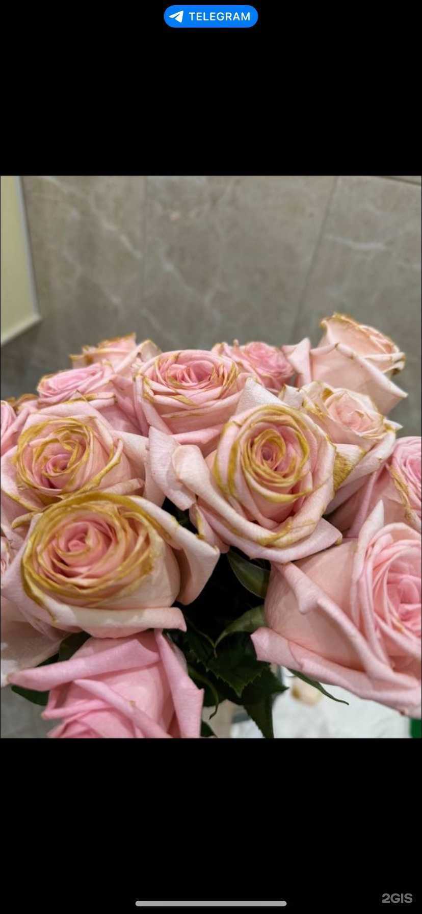 Отзывы на компанию Moon & Sea в г. Махачкала c фото