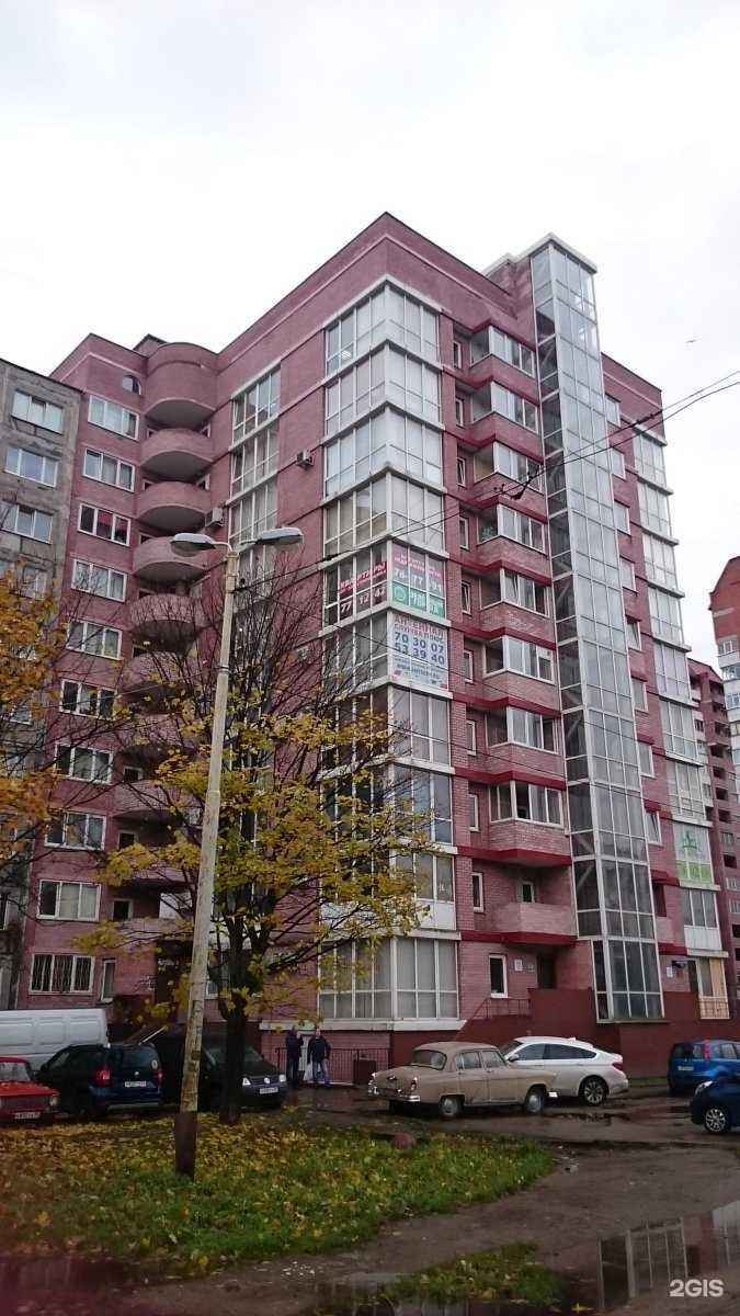 Отзывы на компанию Котопёс в Калининграде c фото - фотография 2 из 2