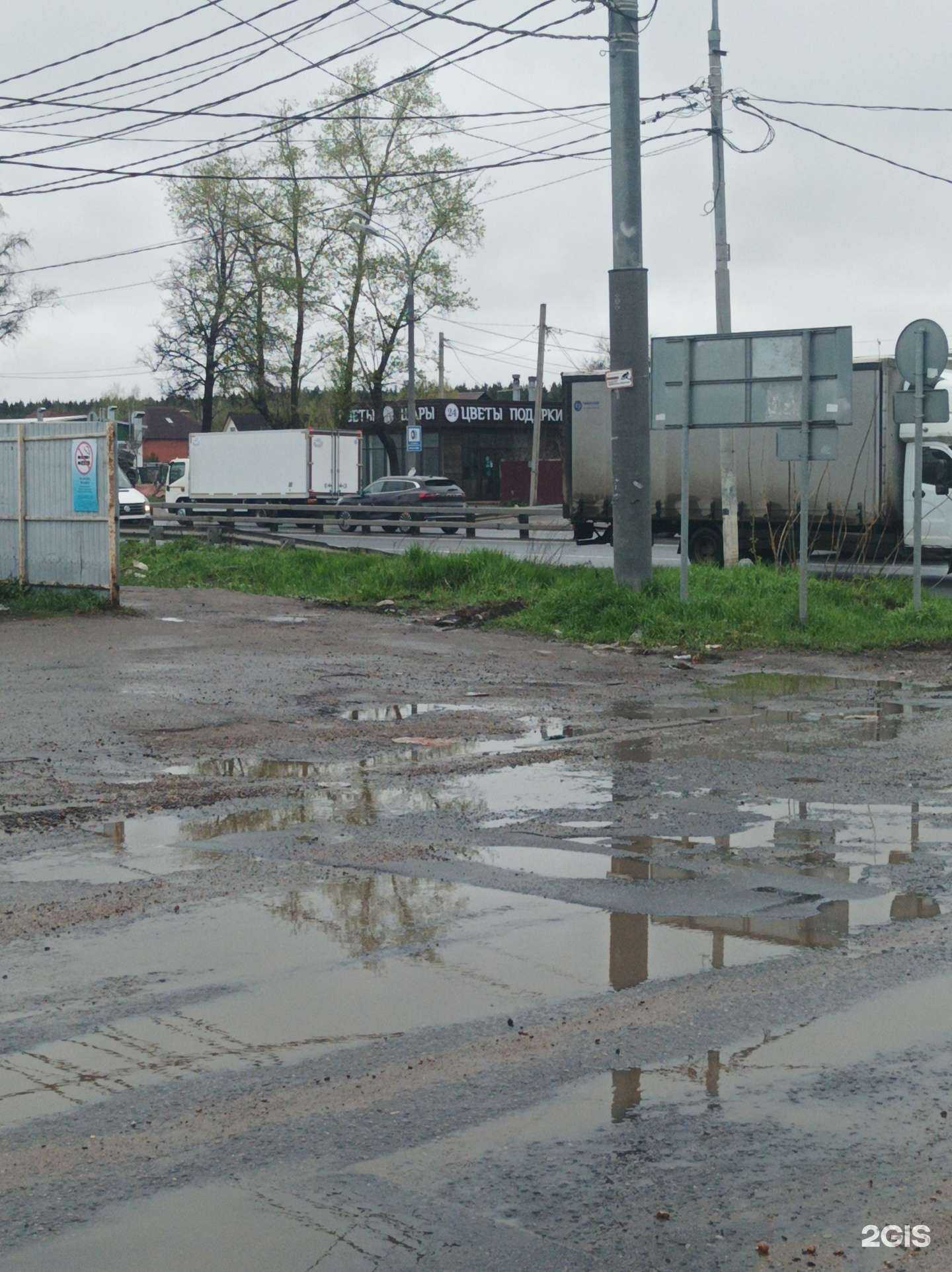 Отзывы на компанию Emmy rose в г. Химки c фото