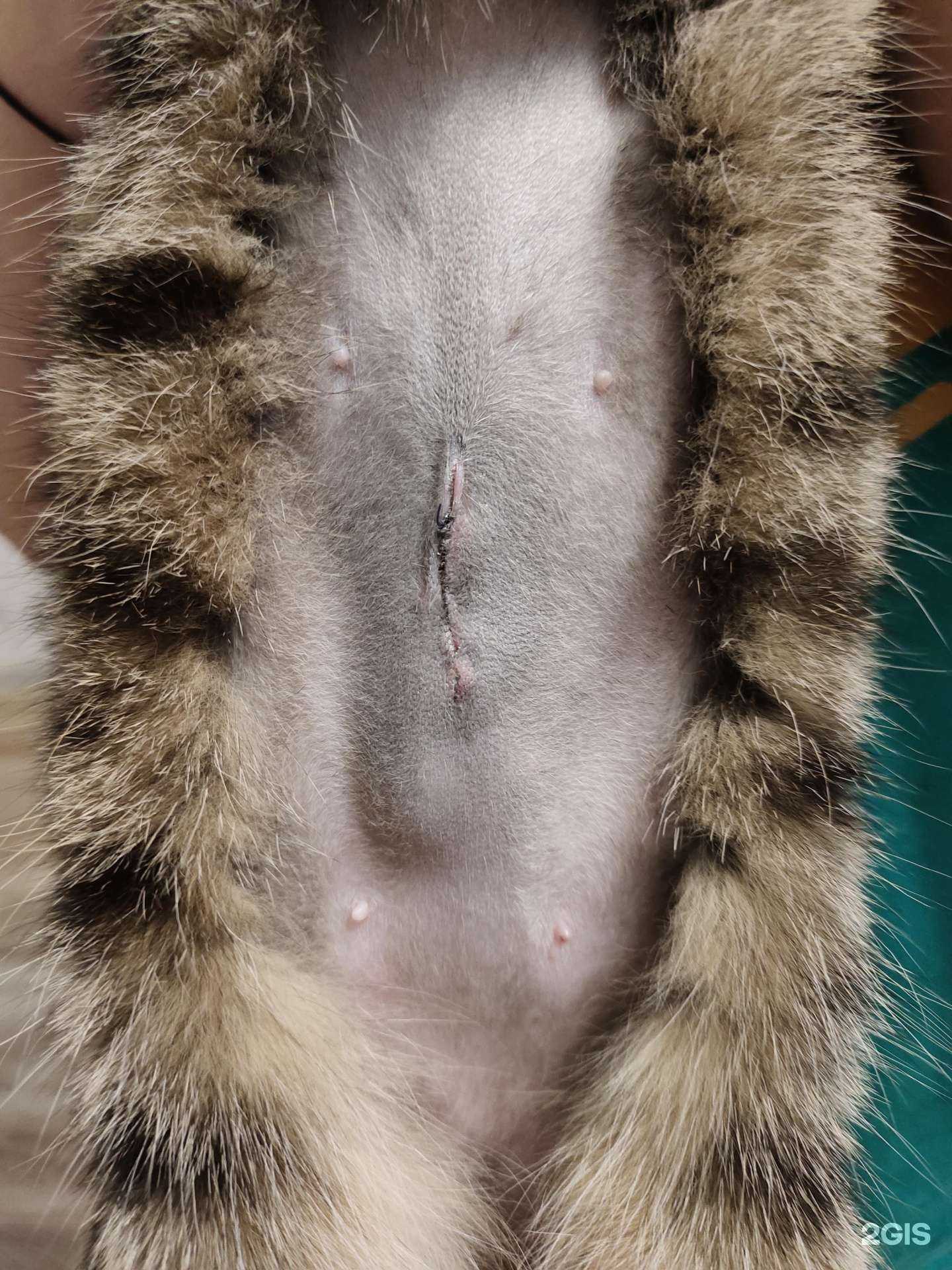 Отзывы на компанию Биовет в г. Мурманск c фото