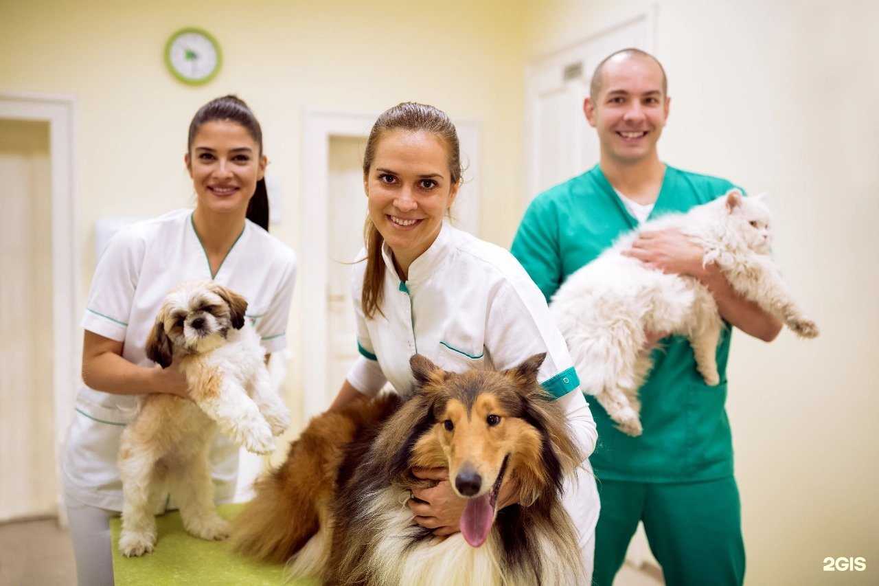 Отзывы на компанию Багира в Екатеринбурге c фото