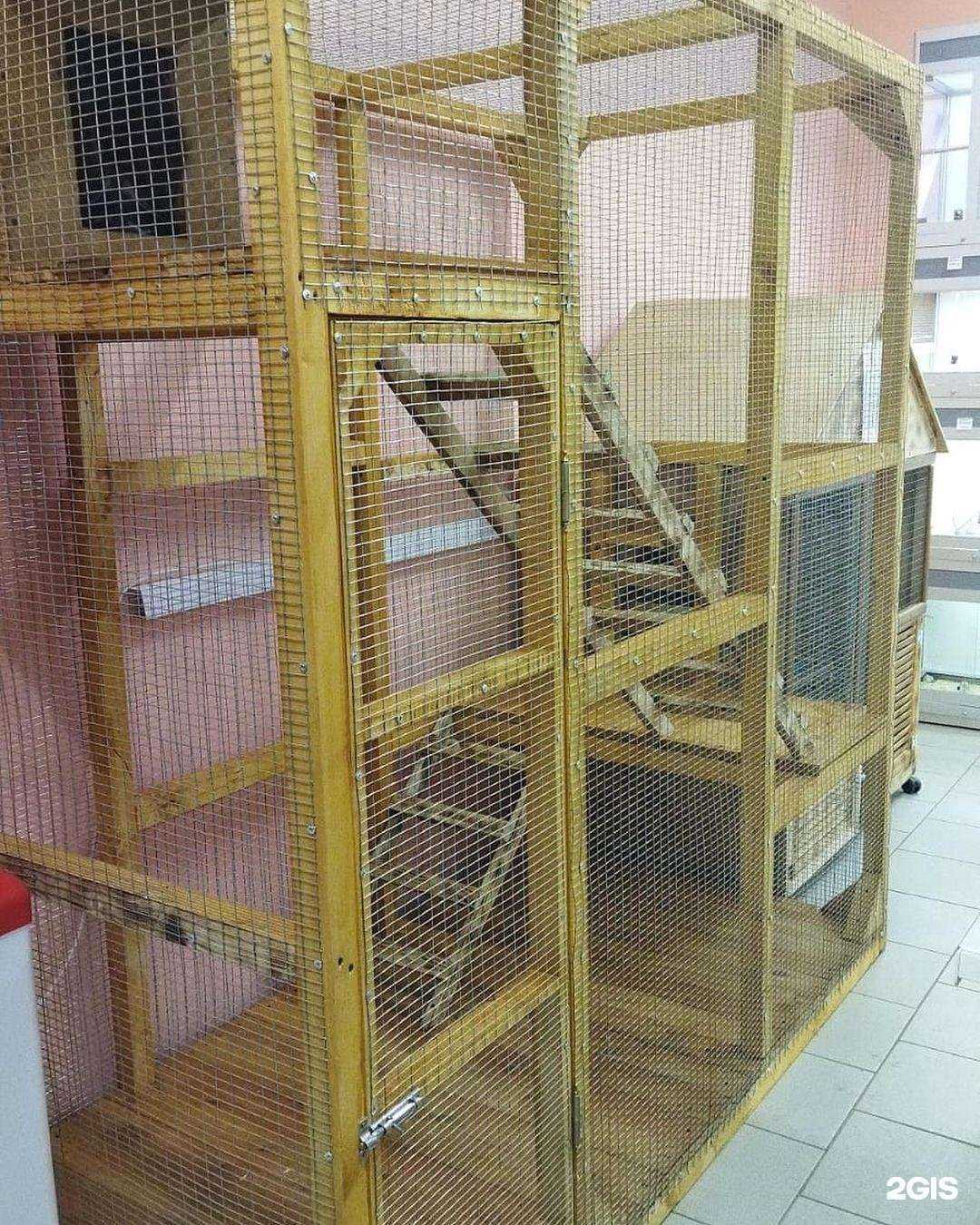 Отзывы на компанию Стафф в г. Электрогорск c фото