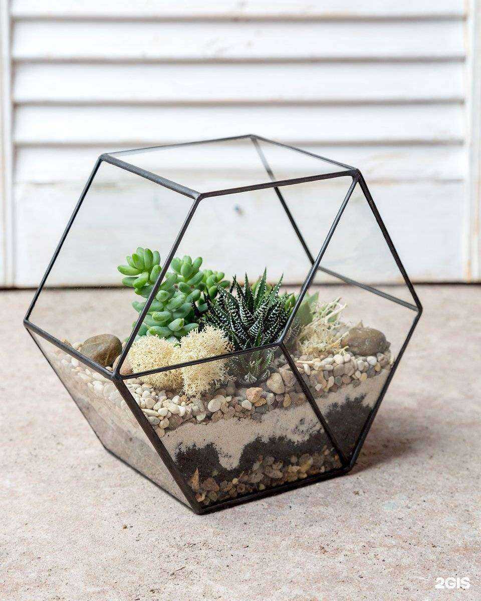 Отзывы на компанию Orenflora в г. Оренбург c фото