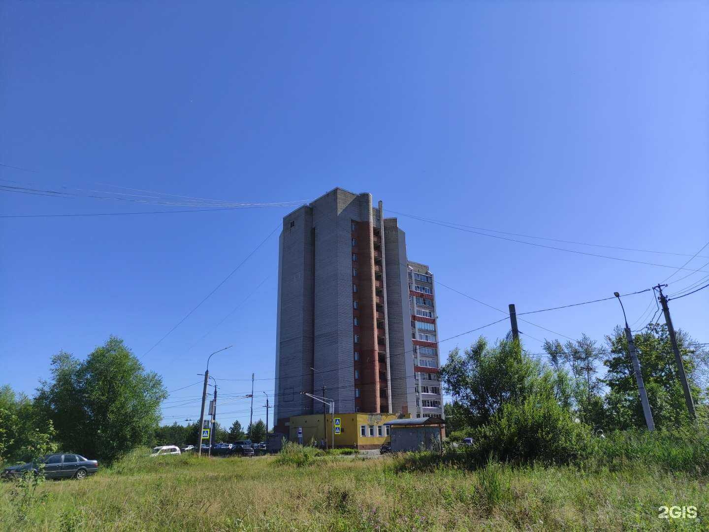 Отзывы на компанию Багира в Рыбинске c фото - фотография 2 из 2